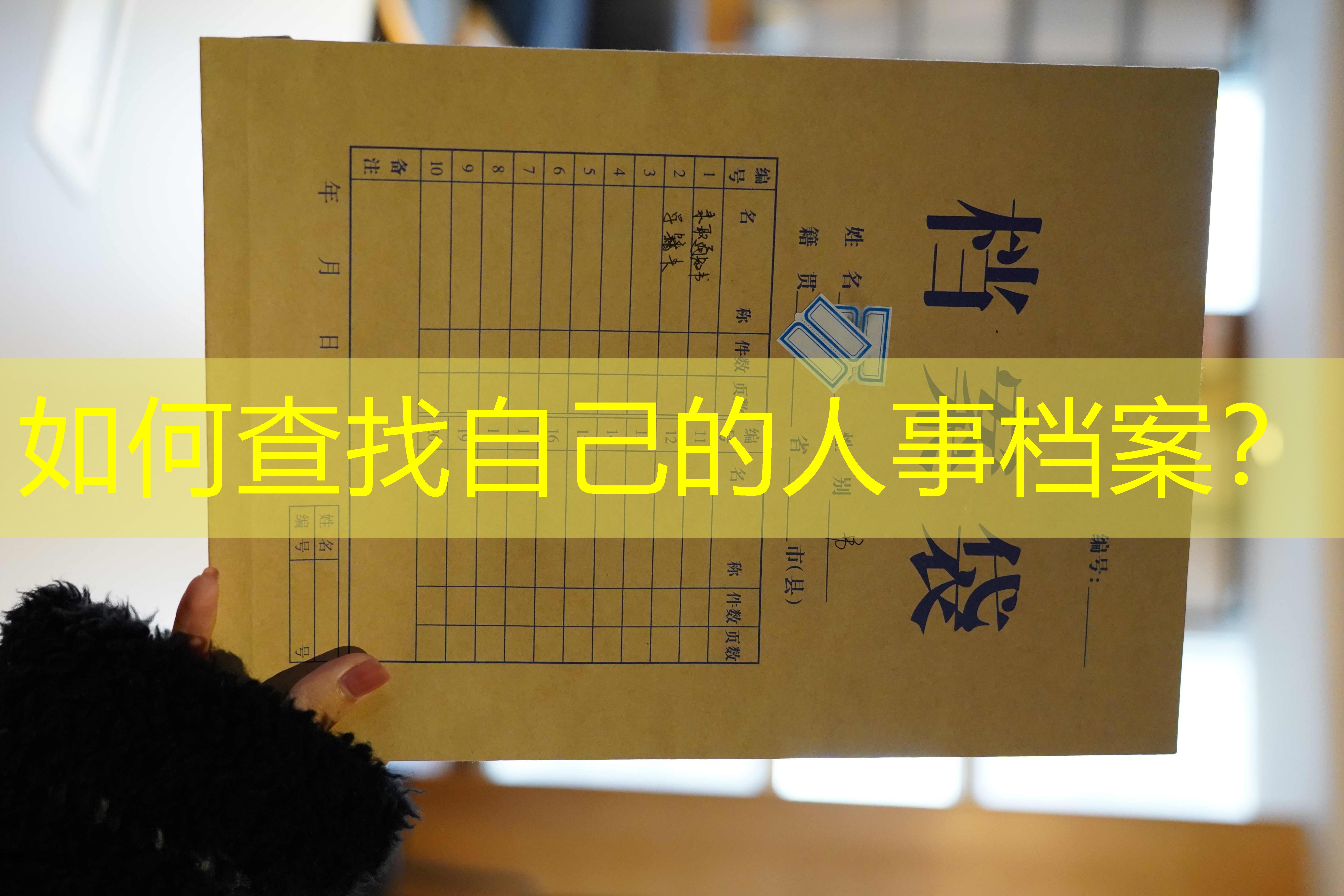 档案查询