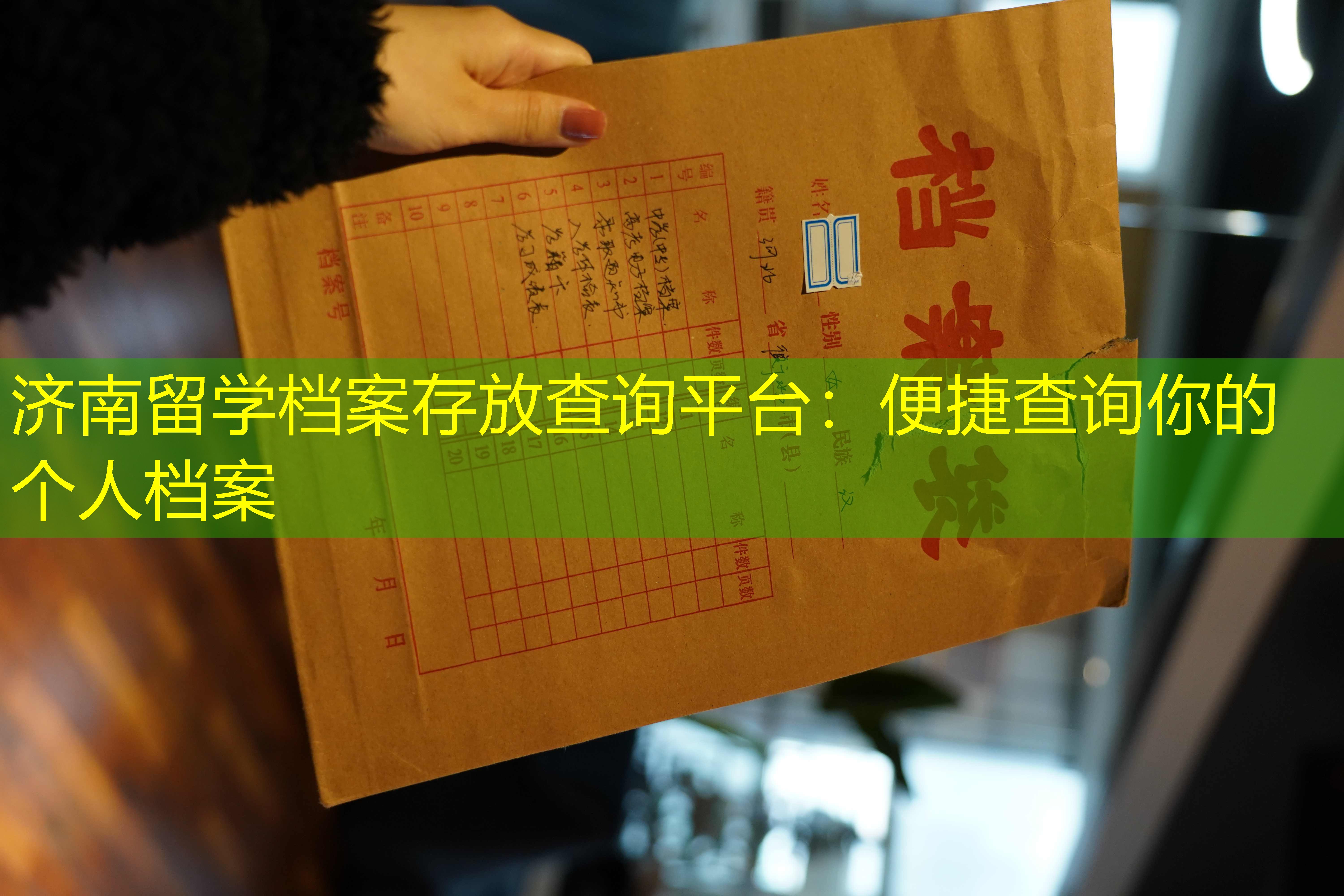 档案查询