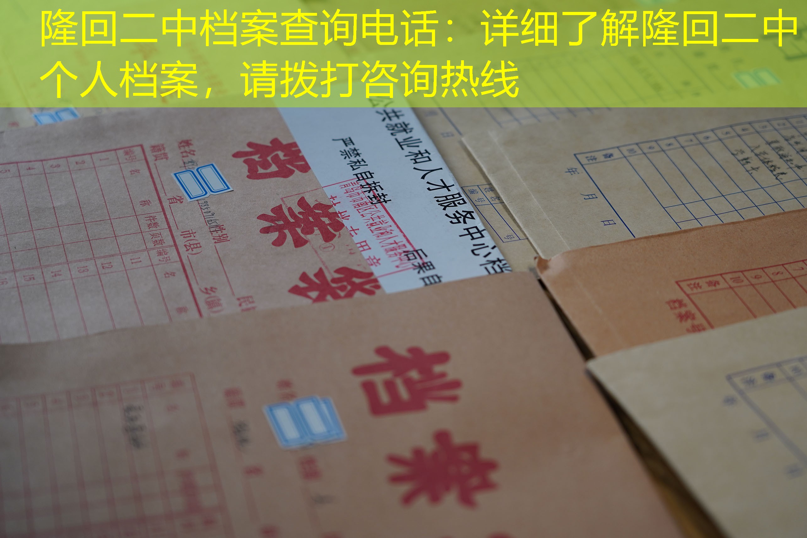 档案查询