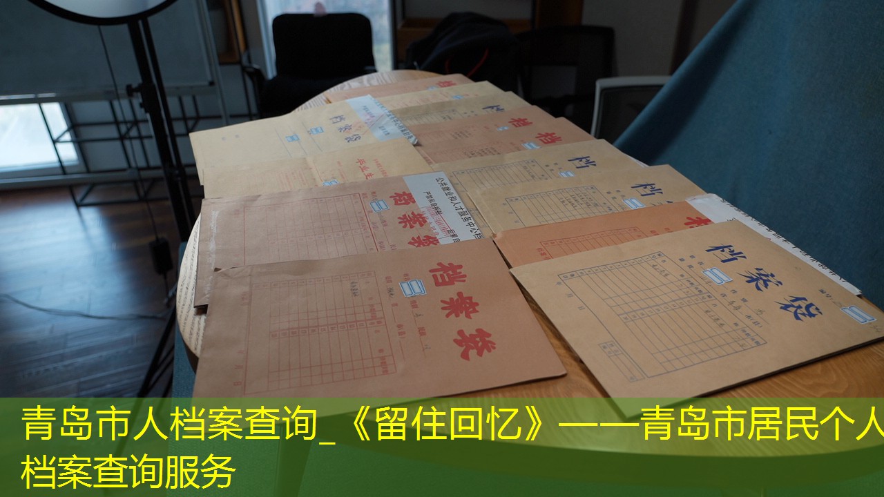档案查询
