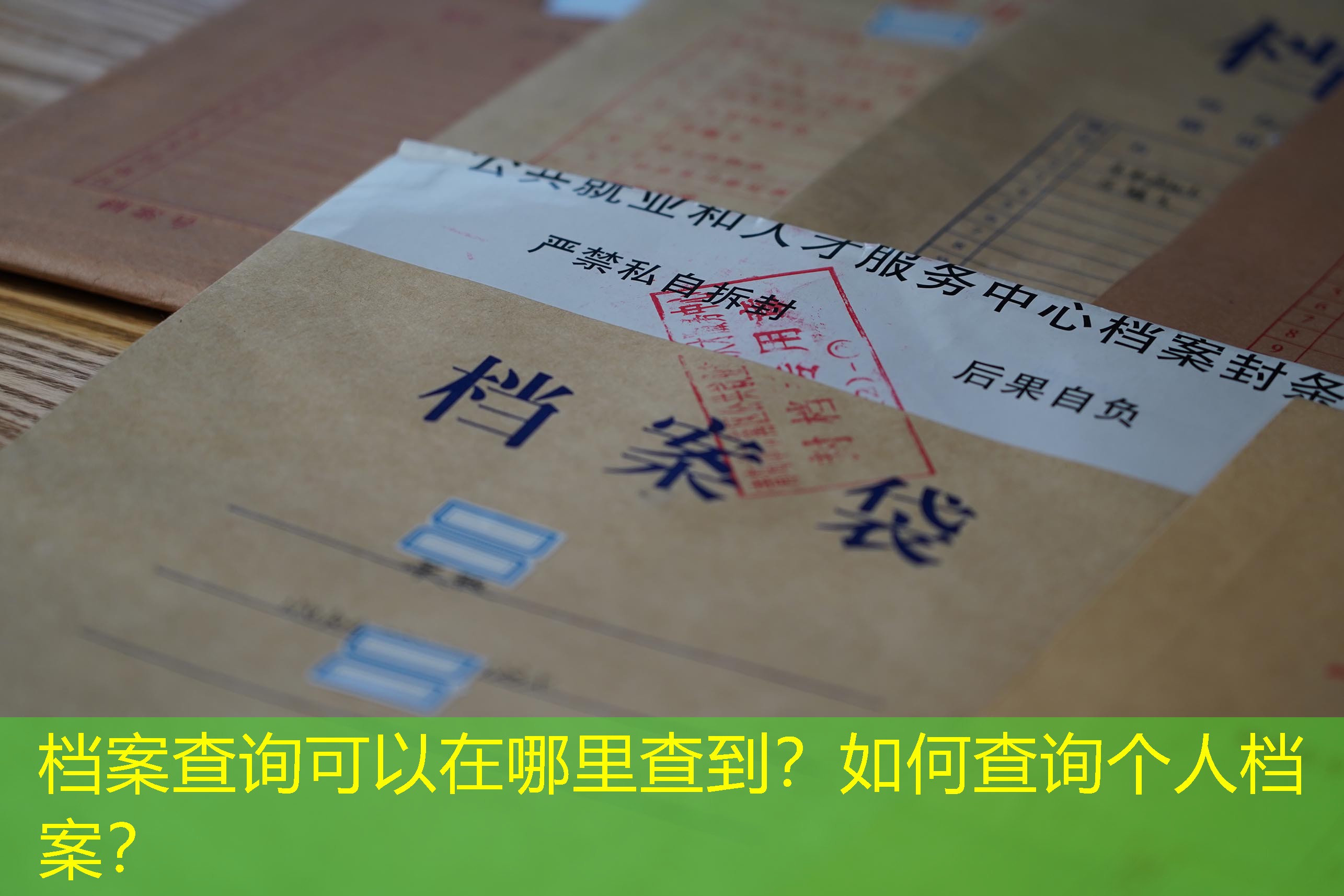 档案查询