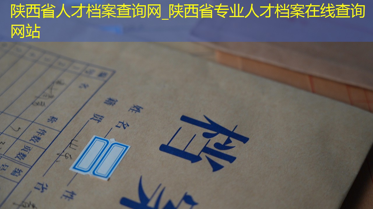 档案查询