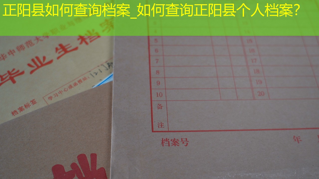 档案查询