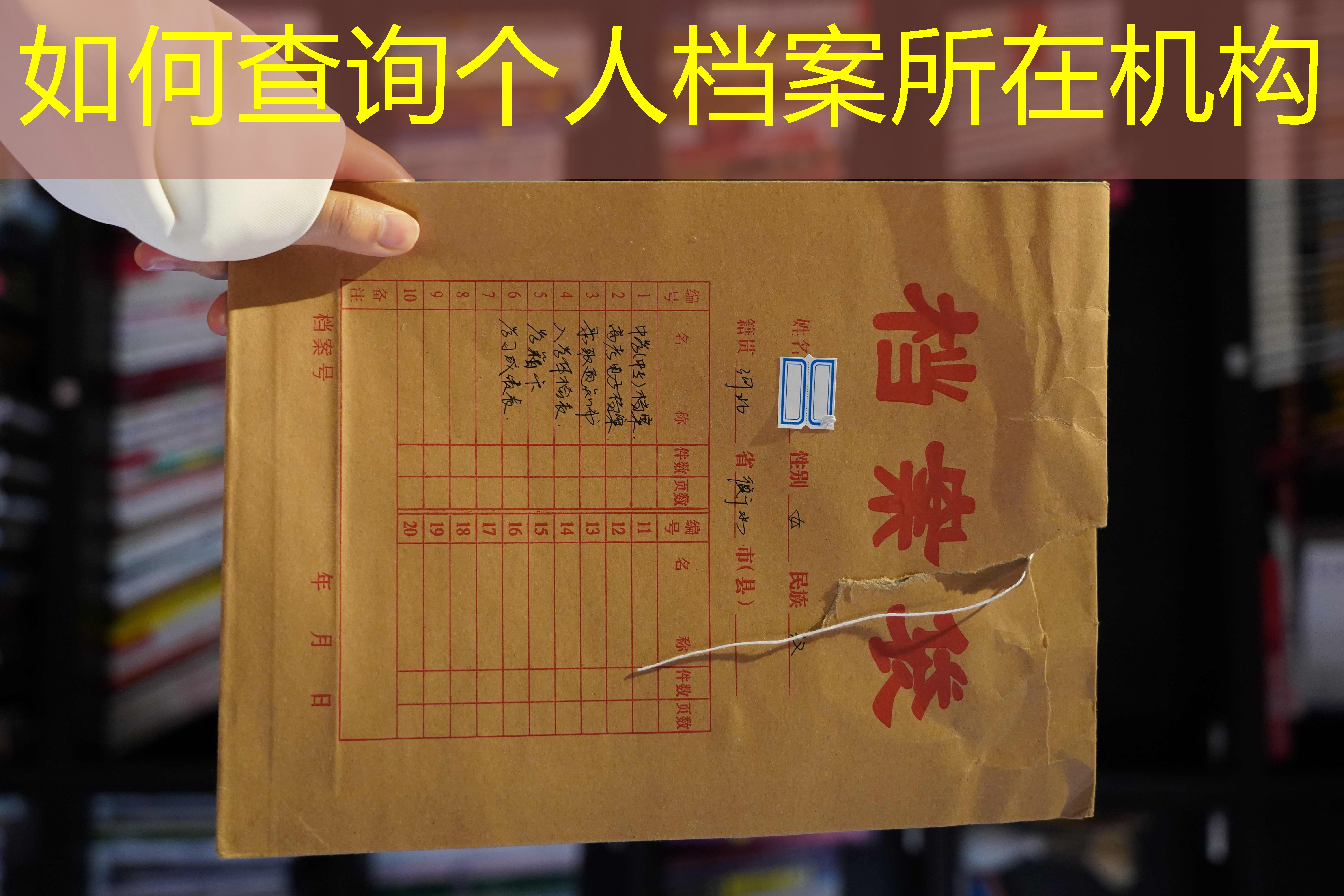 档案查询