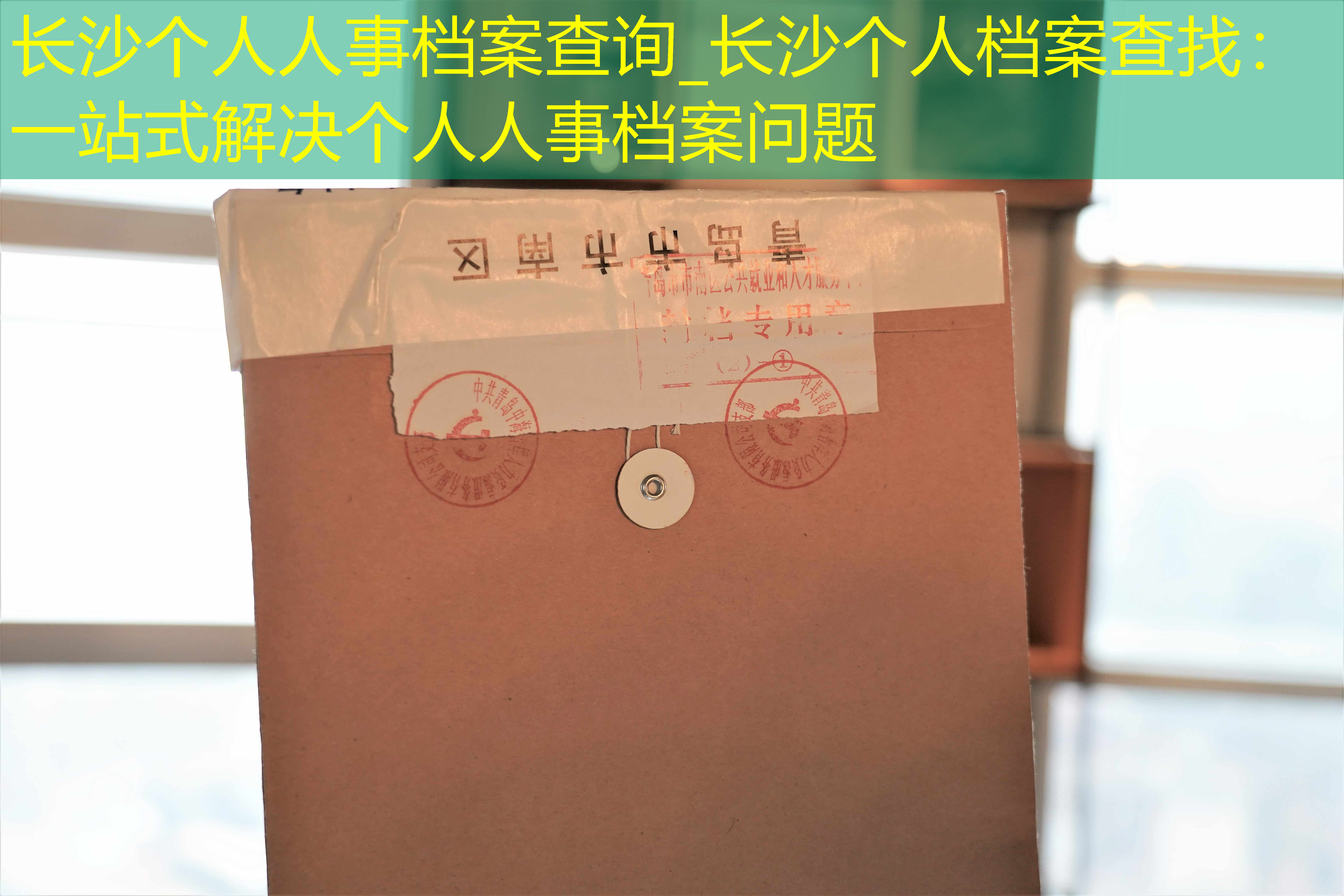 档案查询