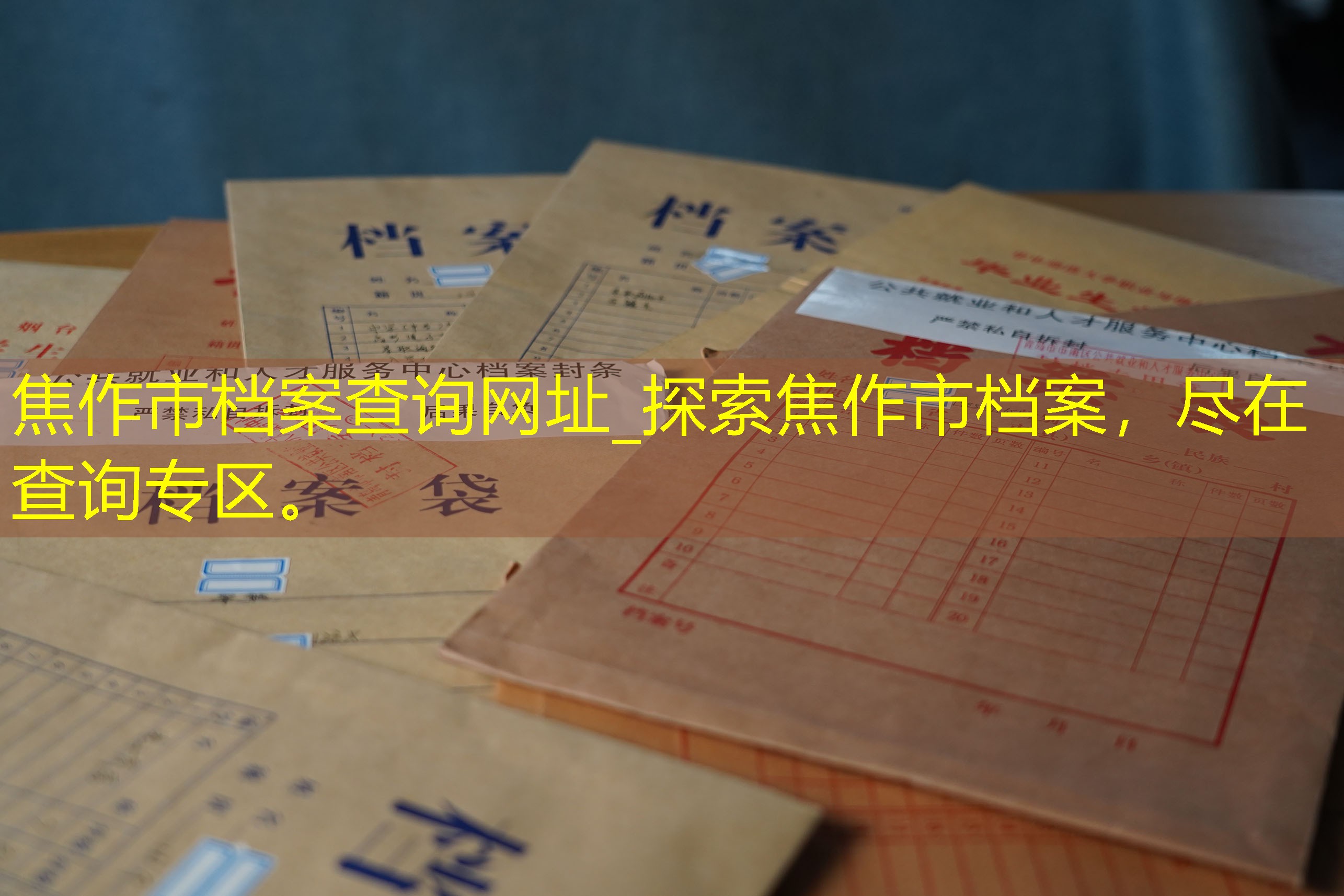 档案查询