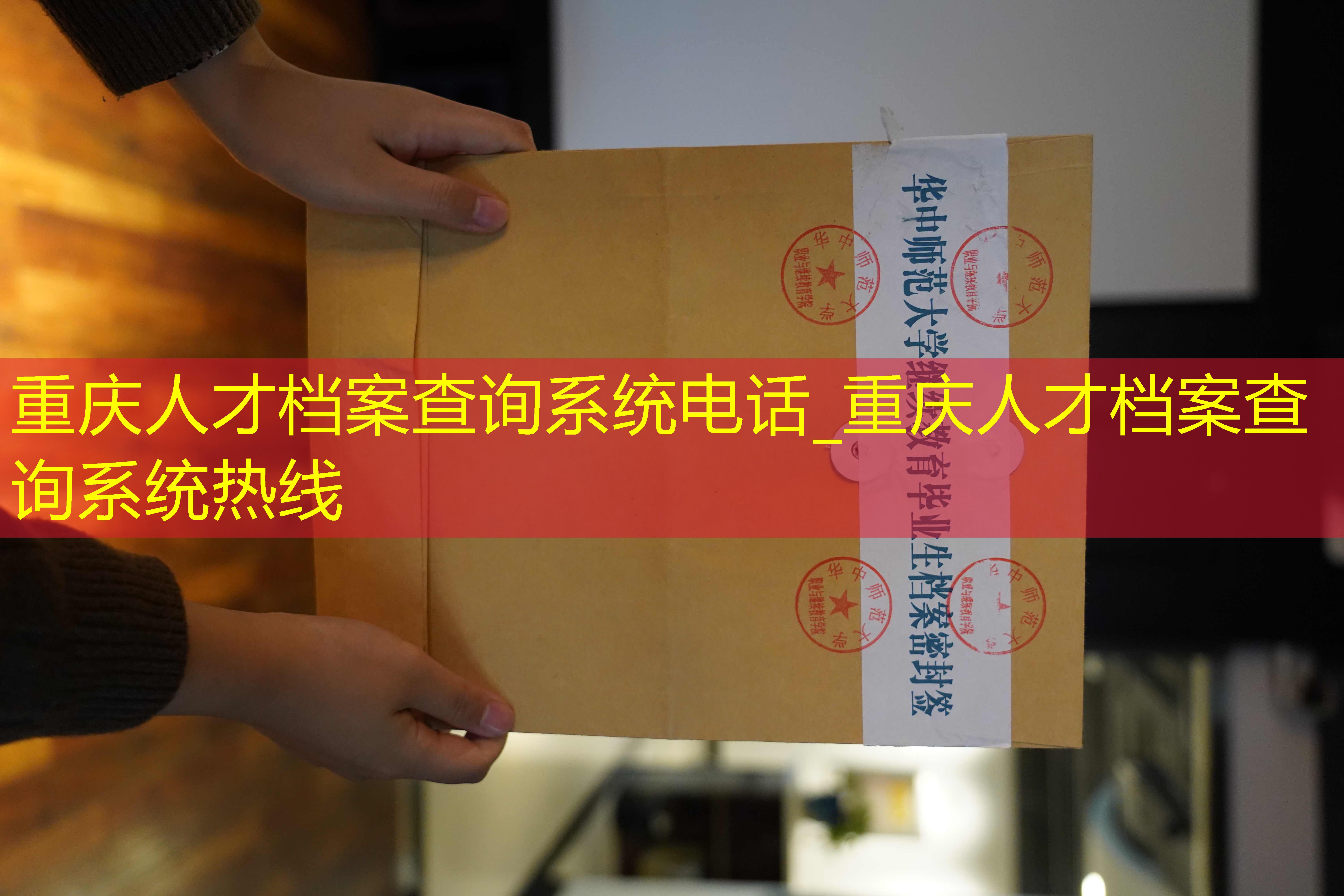 档案查询