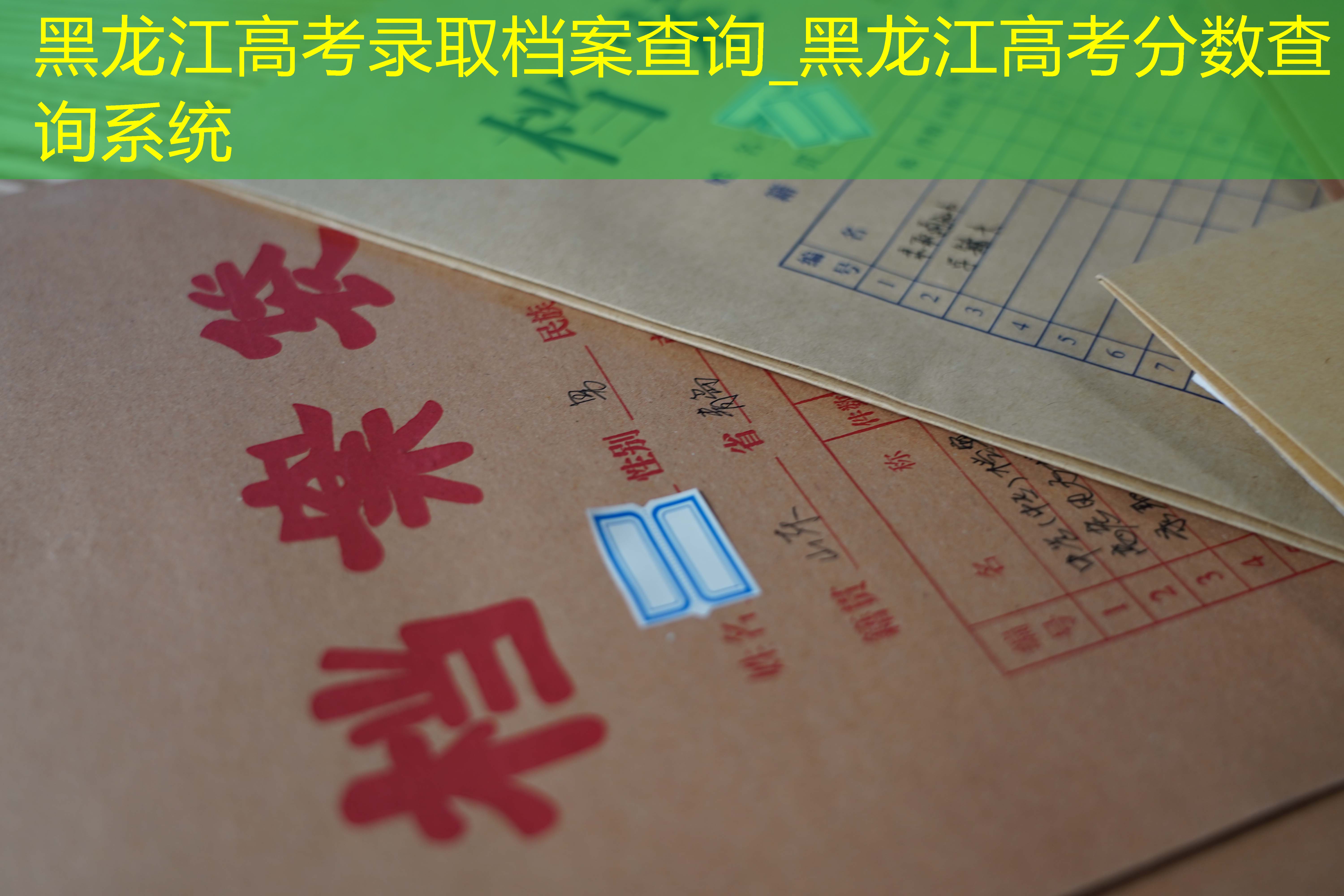档案查询
