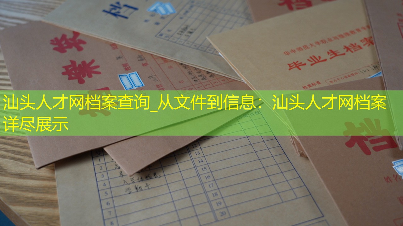 档案查询