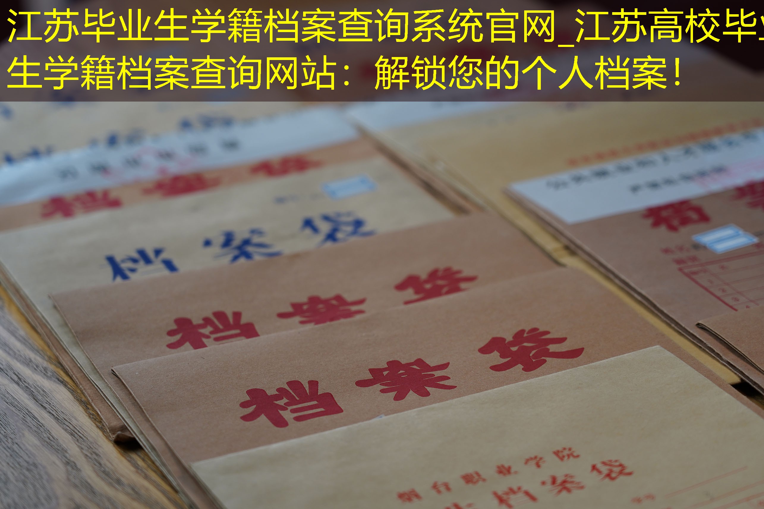 档案查询