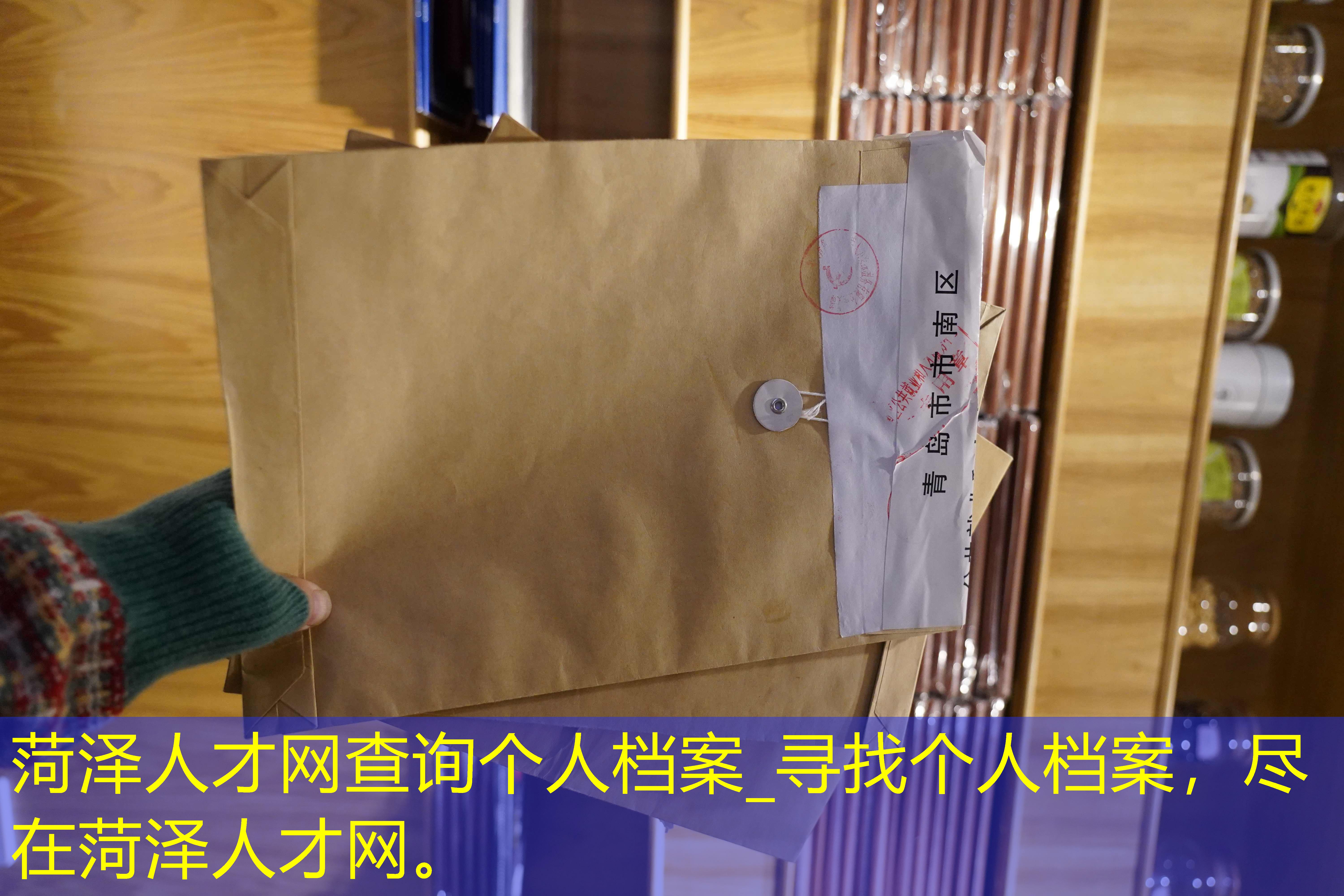 档案查询