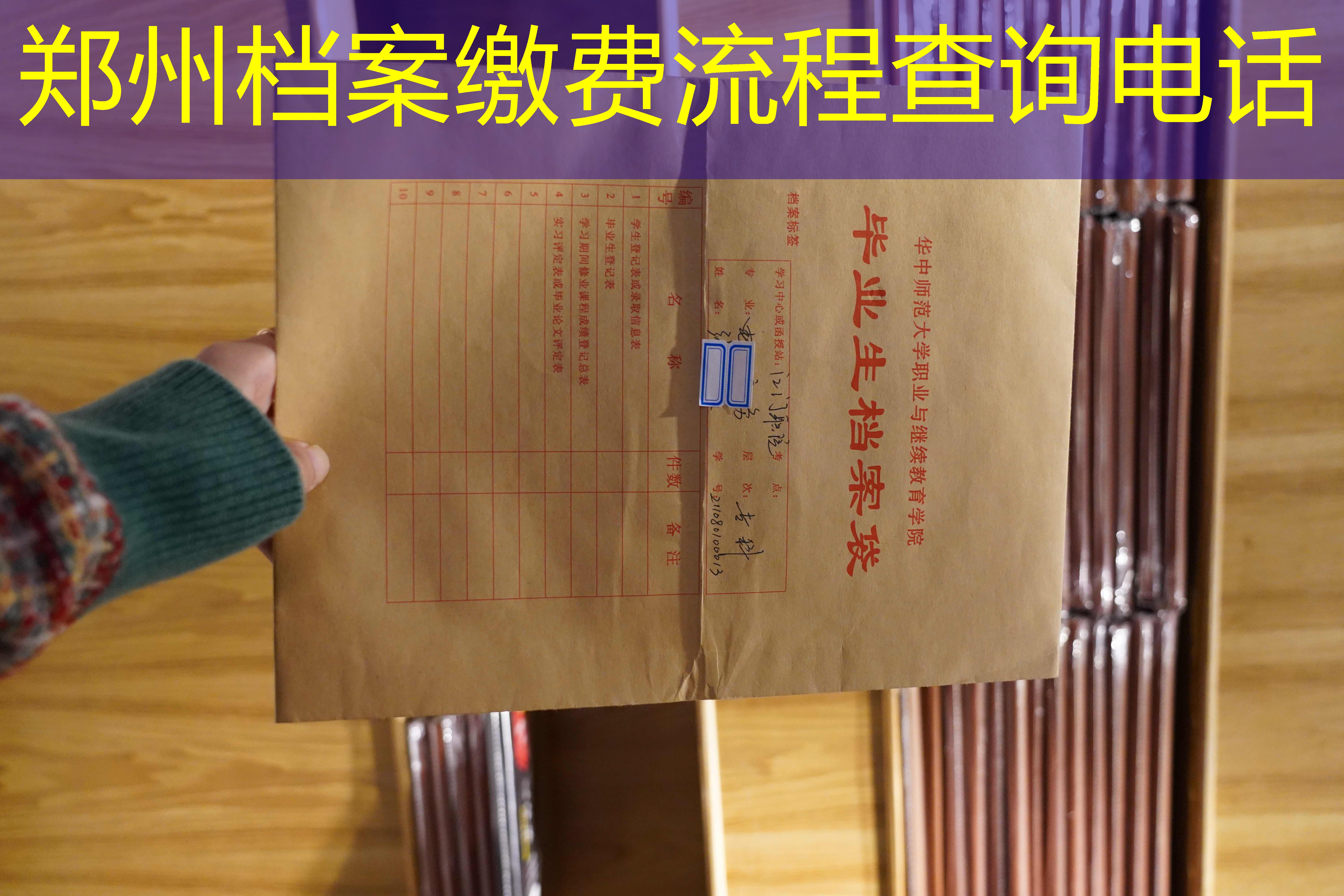 档案查询