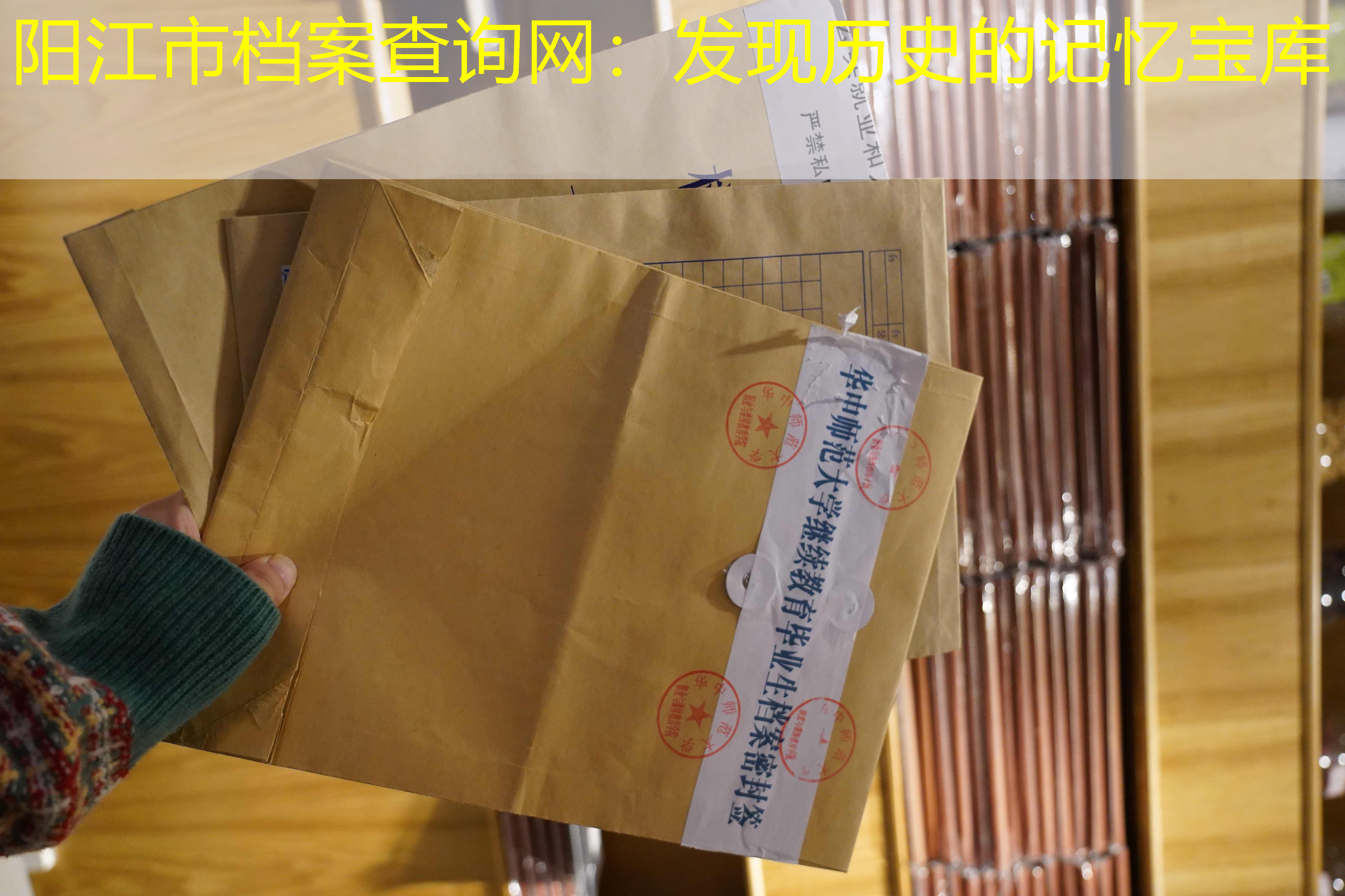 档案查询
