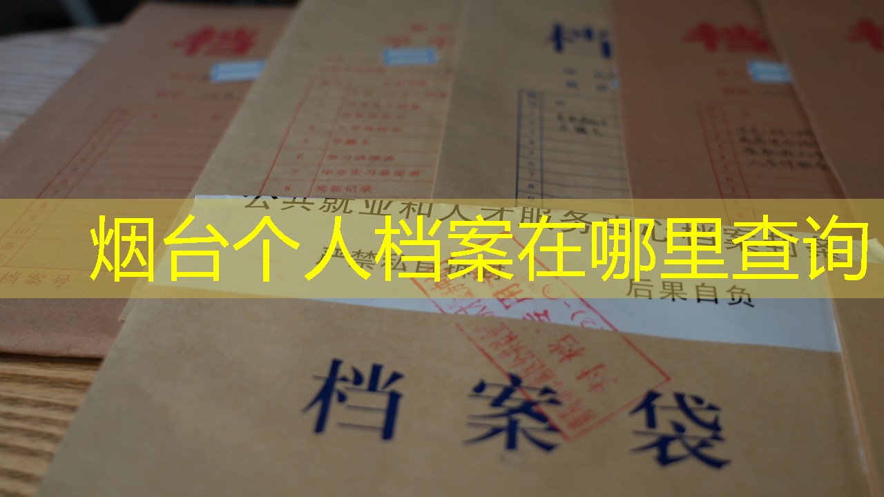 档案查询