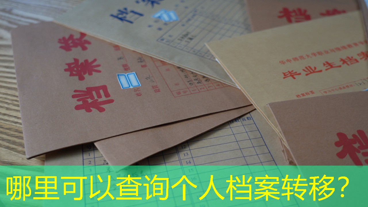 档案查询