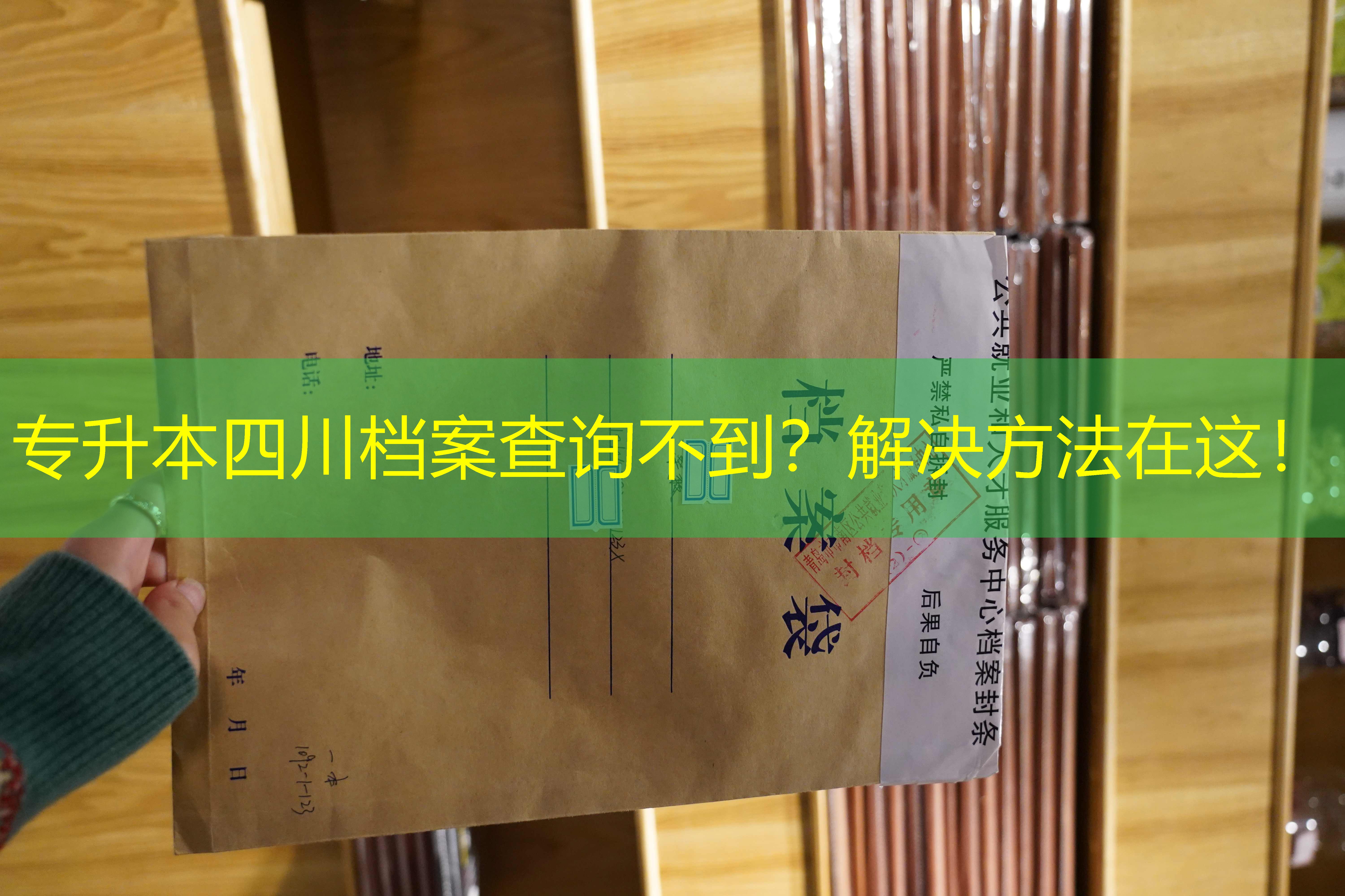 档案查询