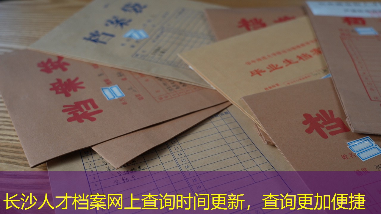 档案查询