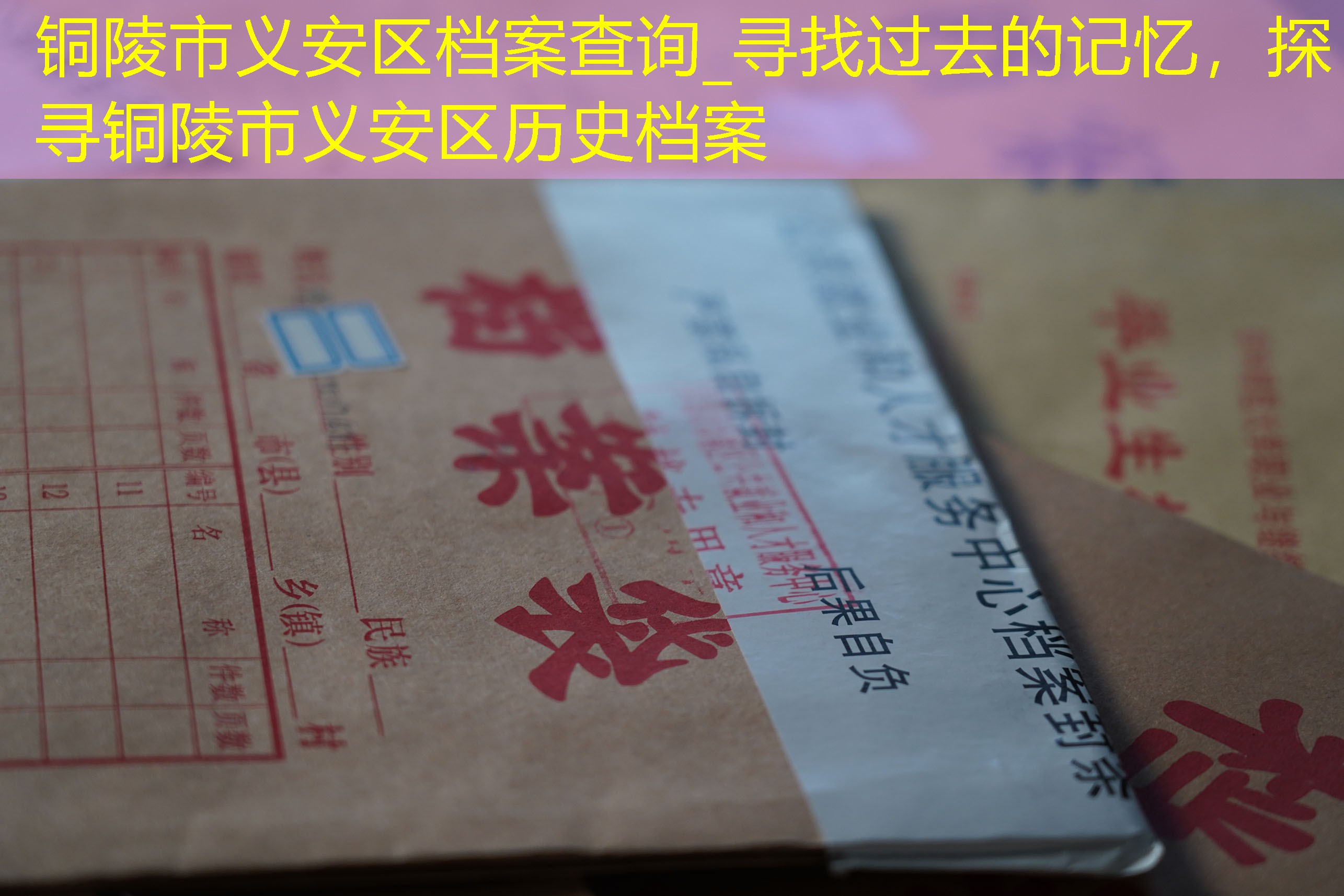档案查询
