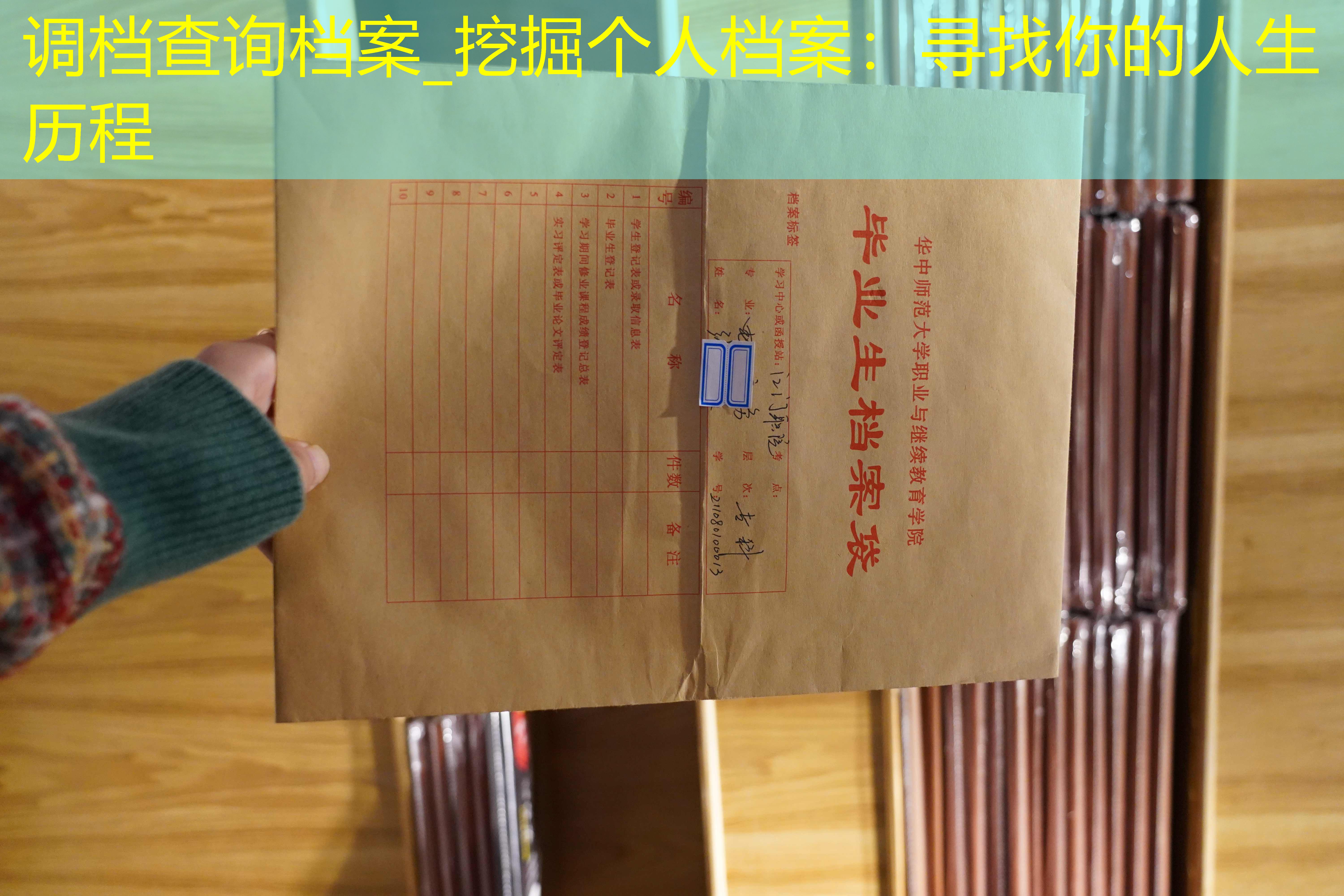 档案查询