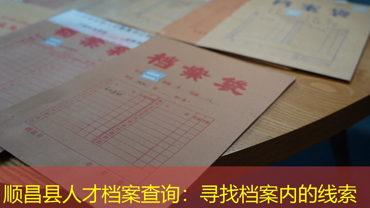 档案查询