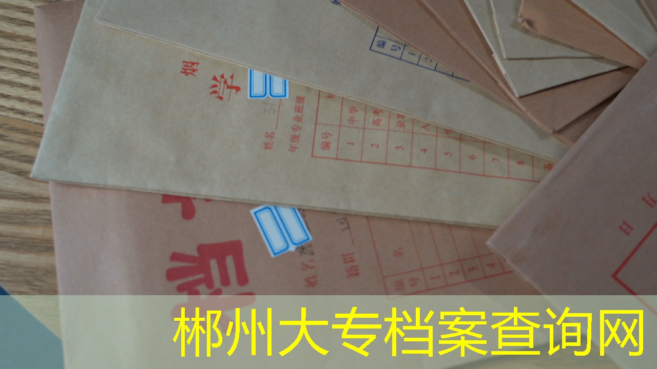 档案查询