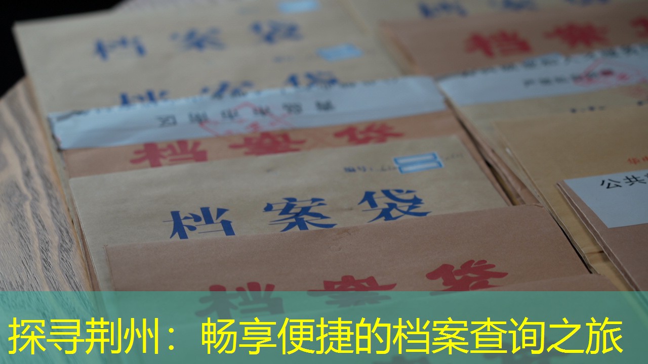 档案查询
