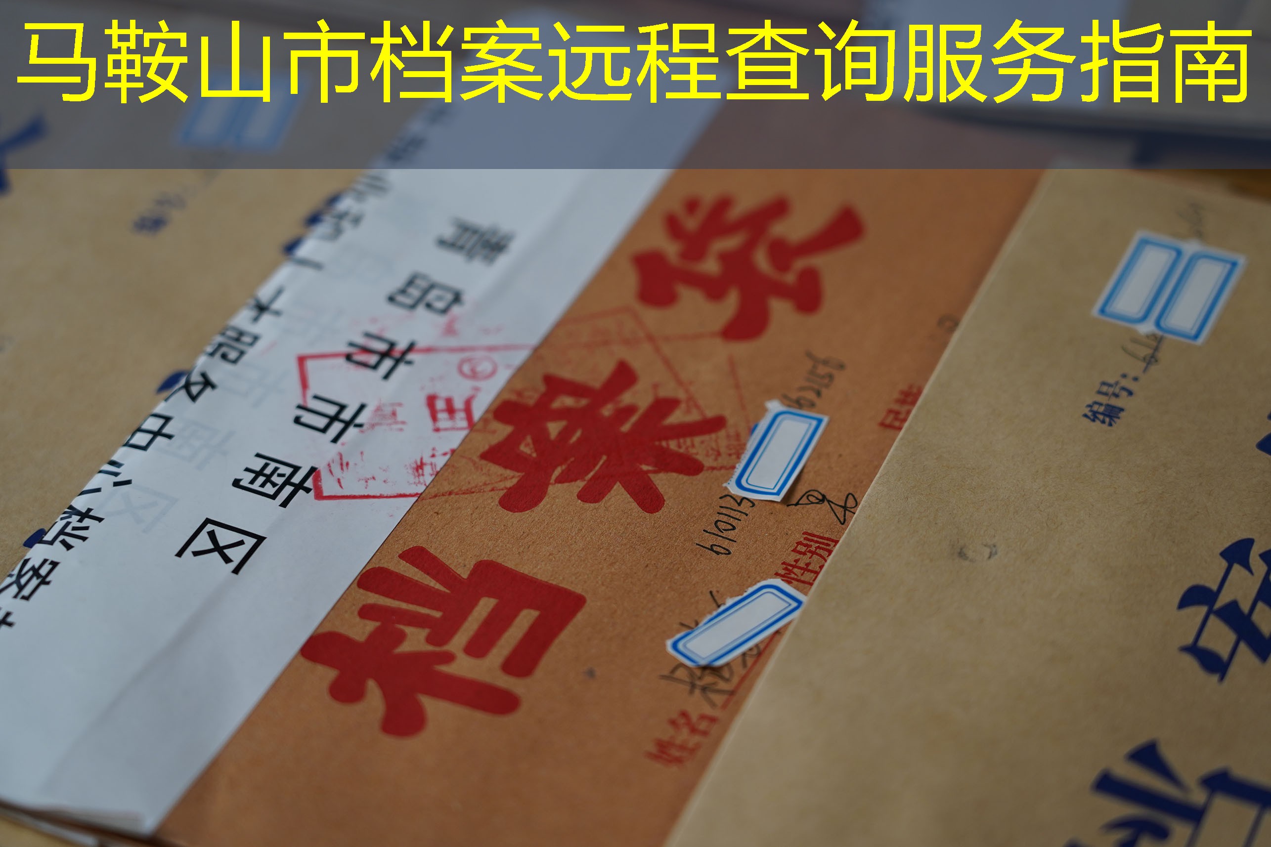 档案查询