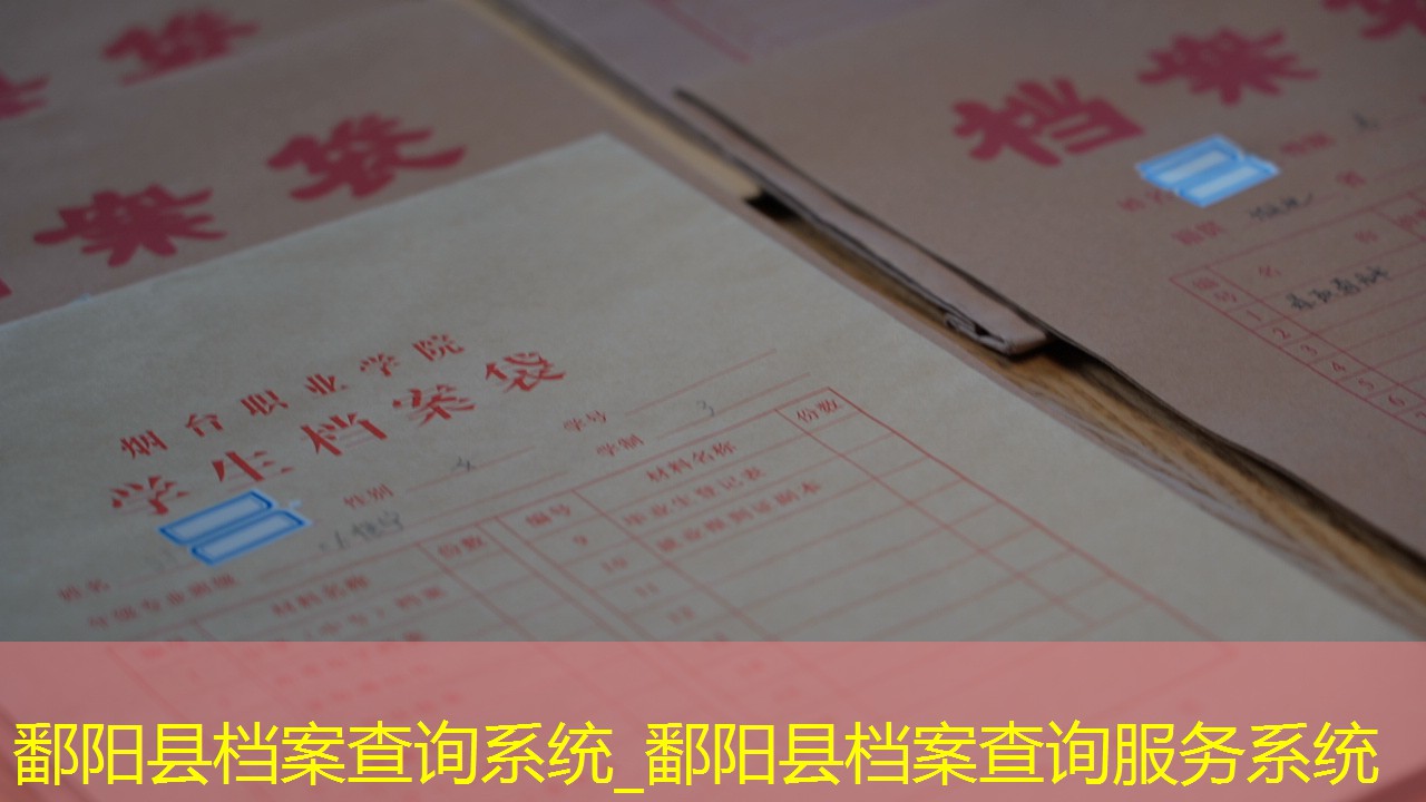 档案查询