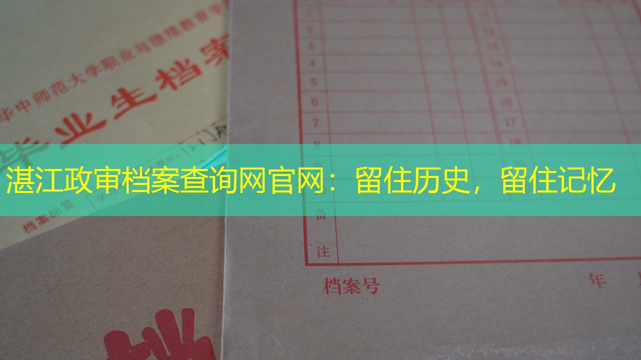 档案查询