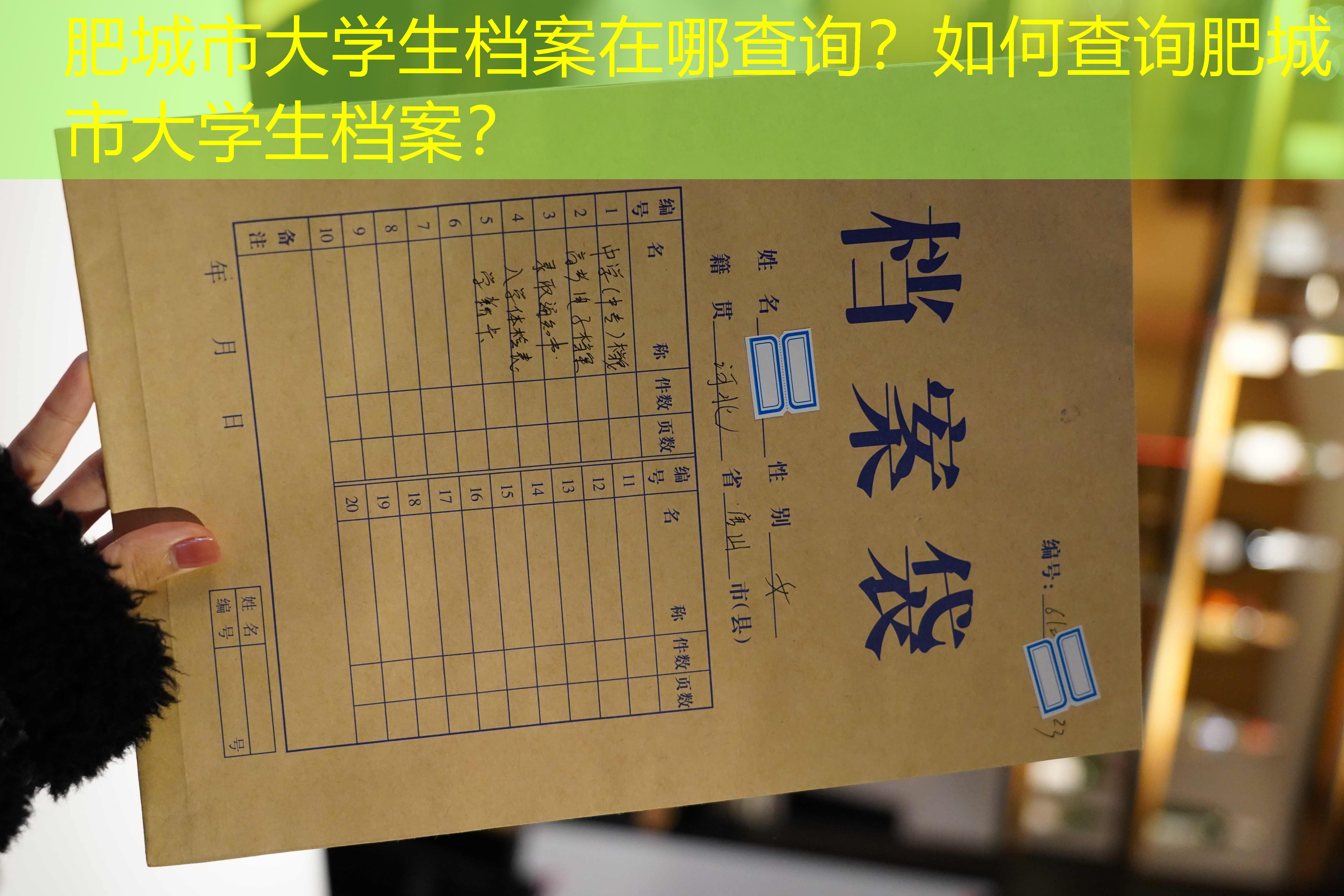 档案查询