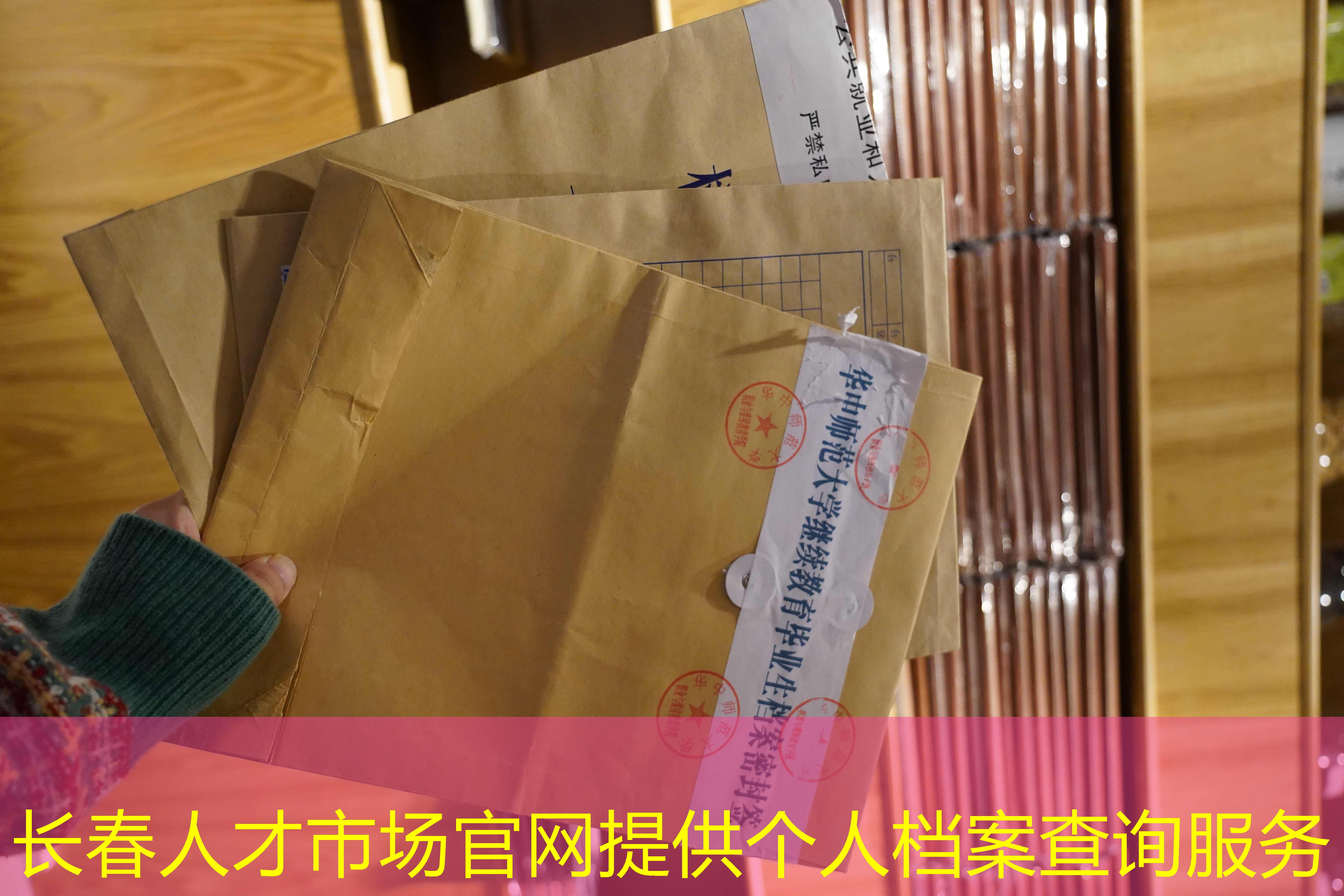 档案查询