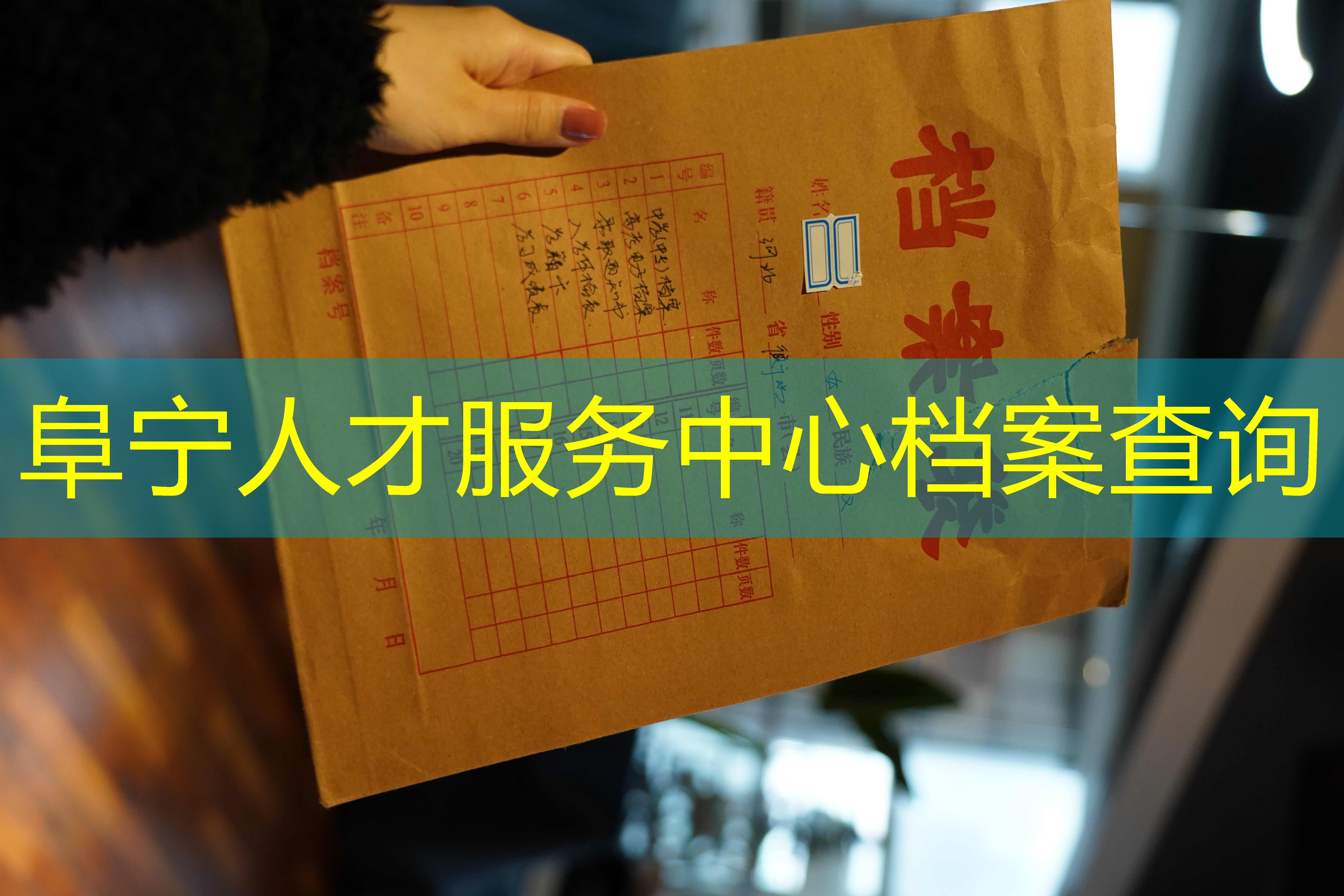 档案查询