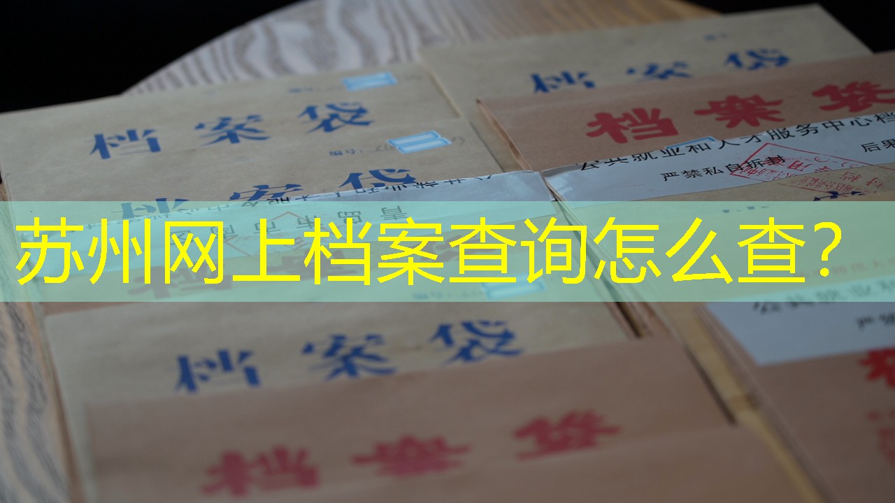 档案查询