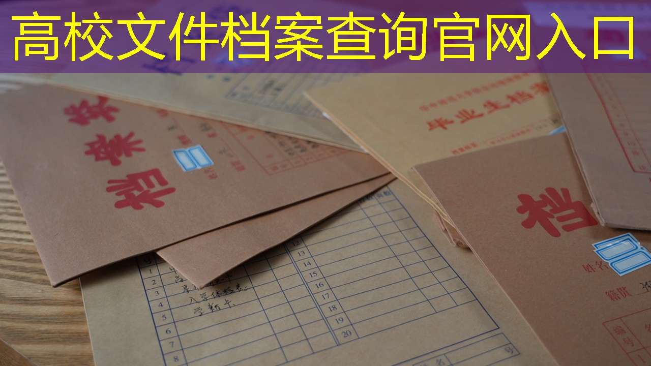 档案查询