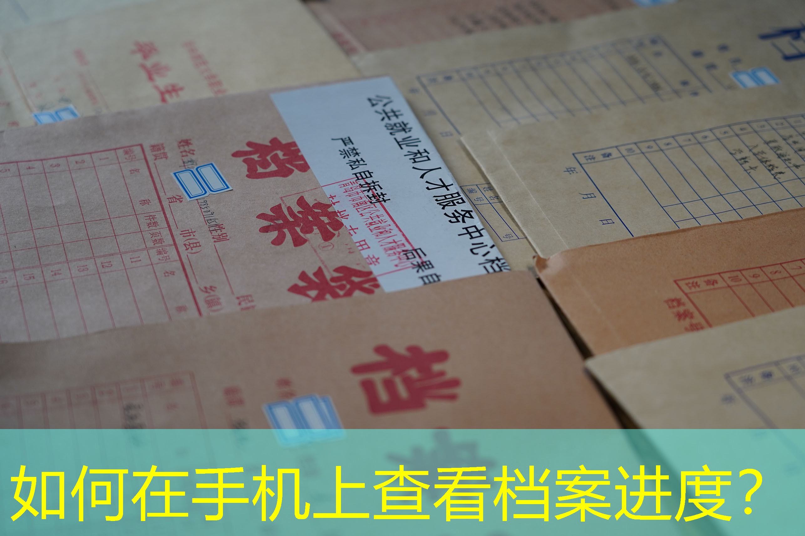 档案查询