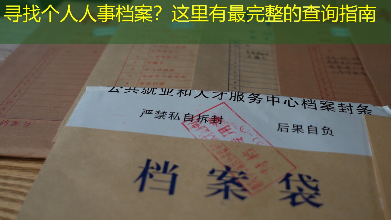 档案查询
