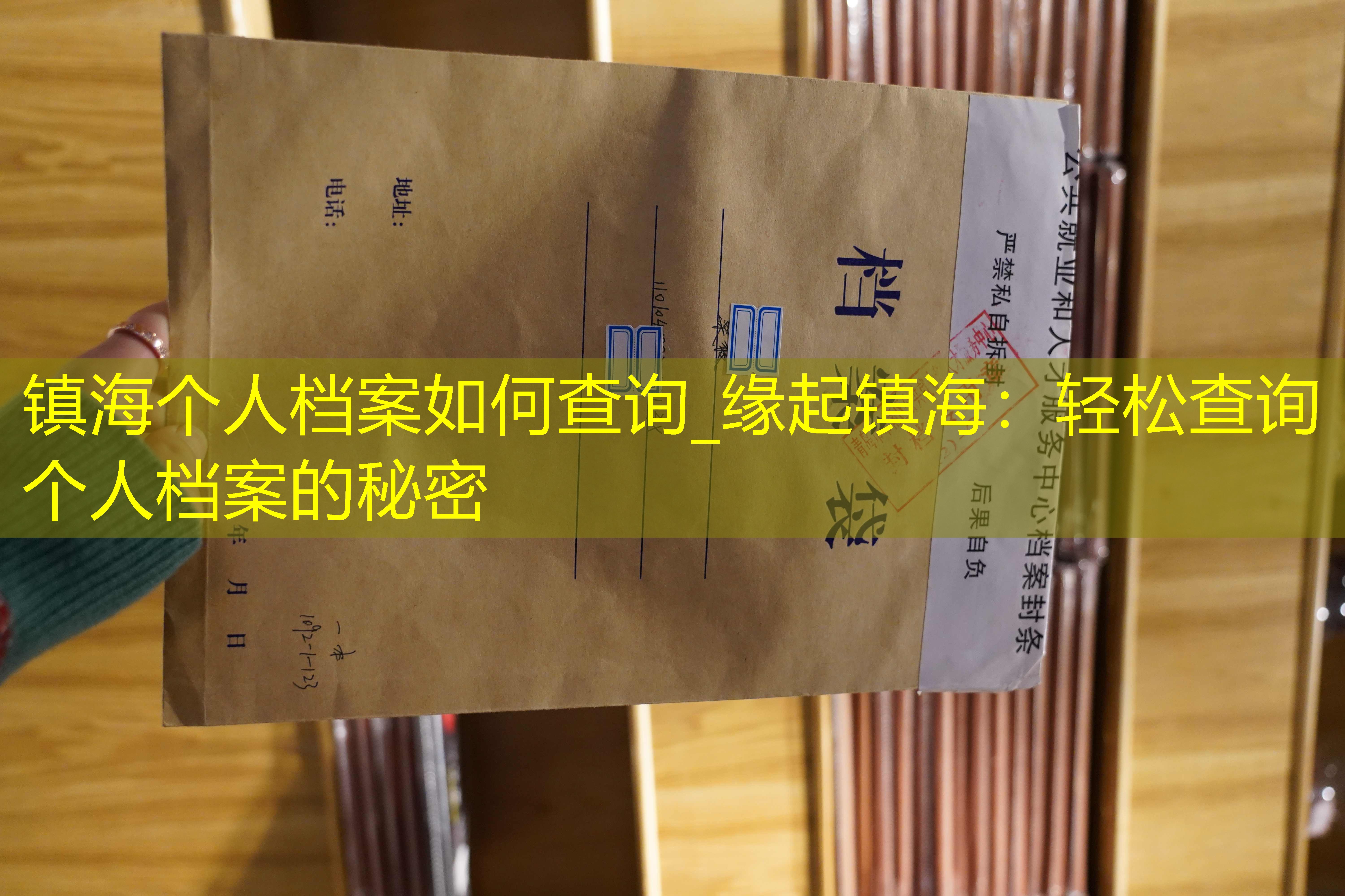 档案查询