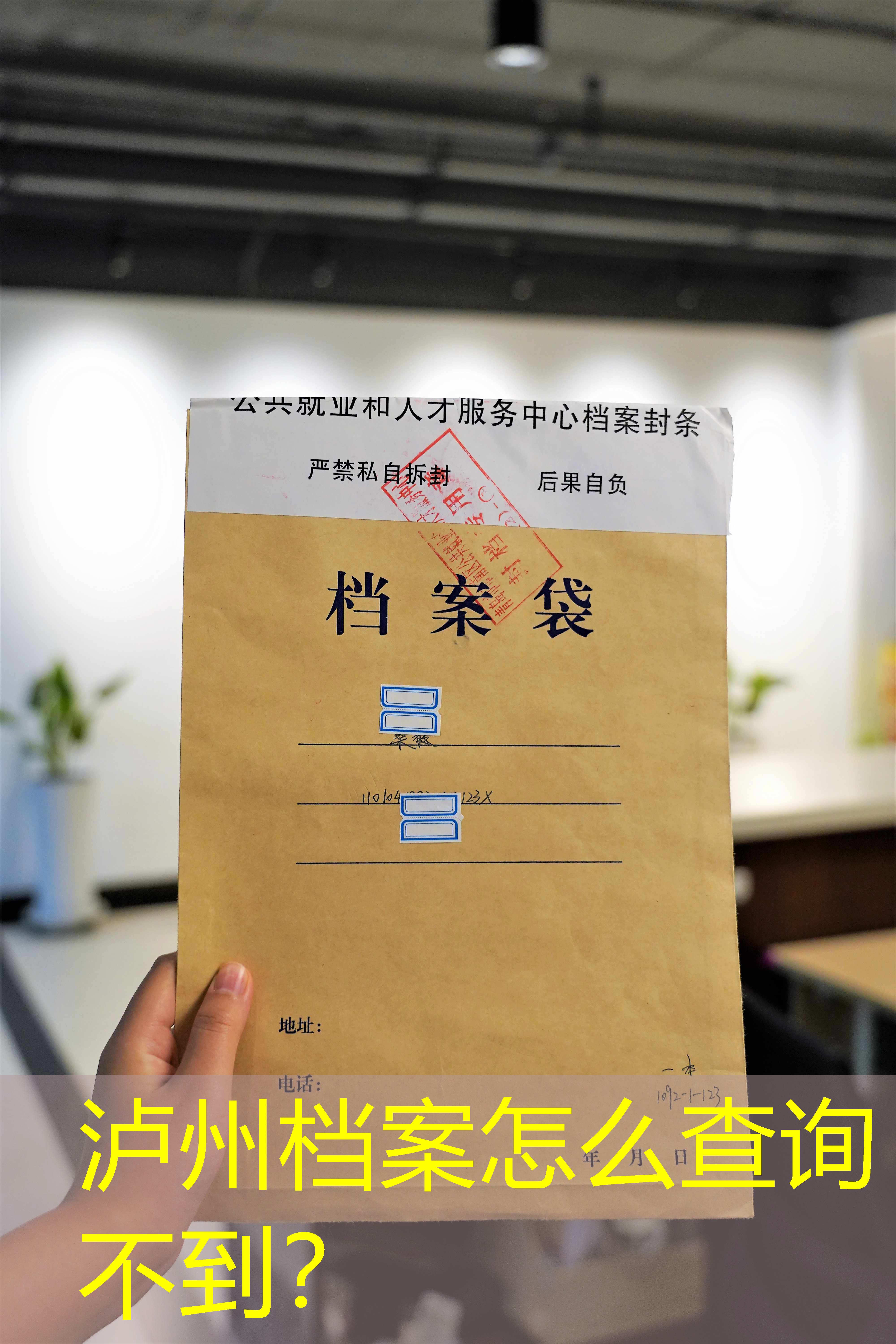档案查询