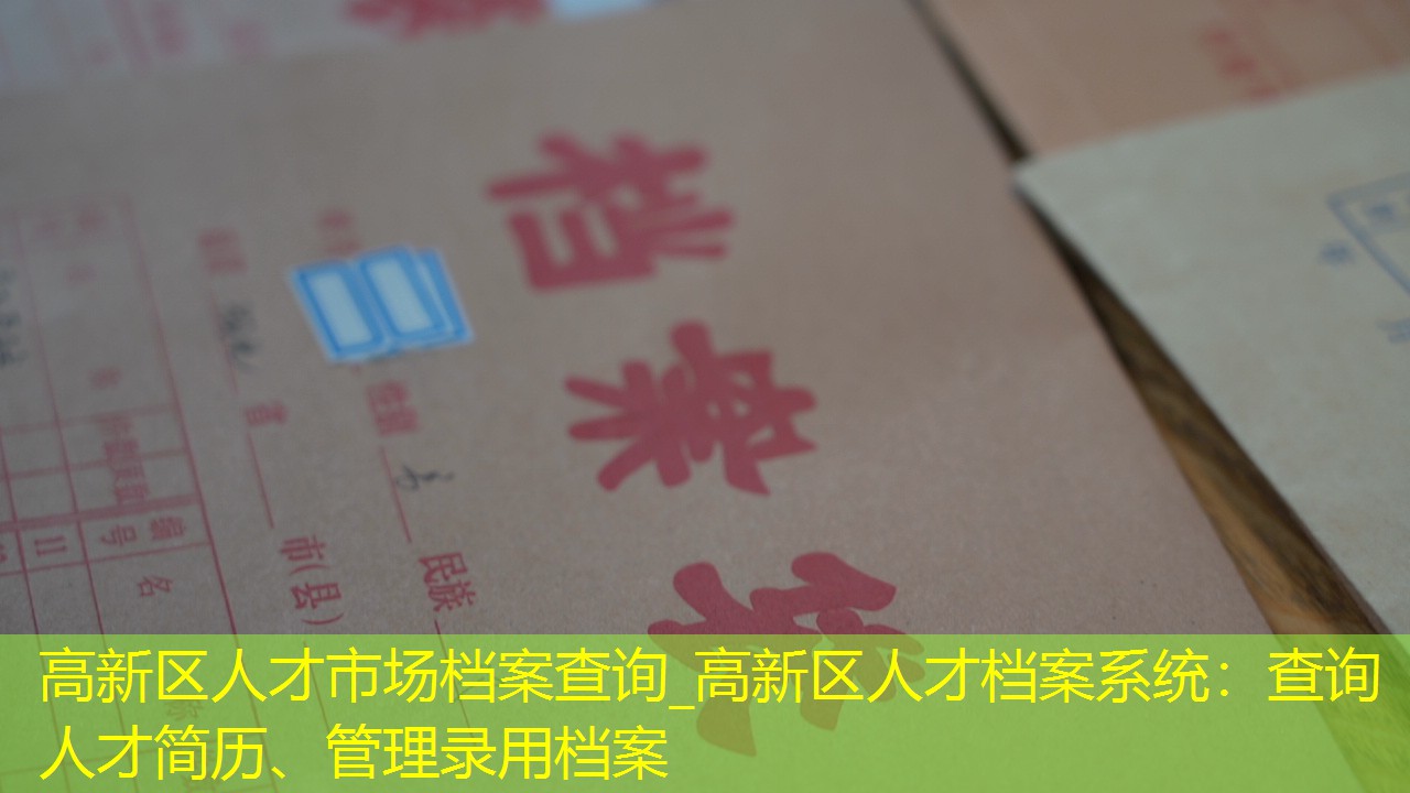 档案查询