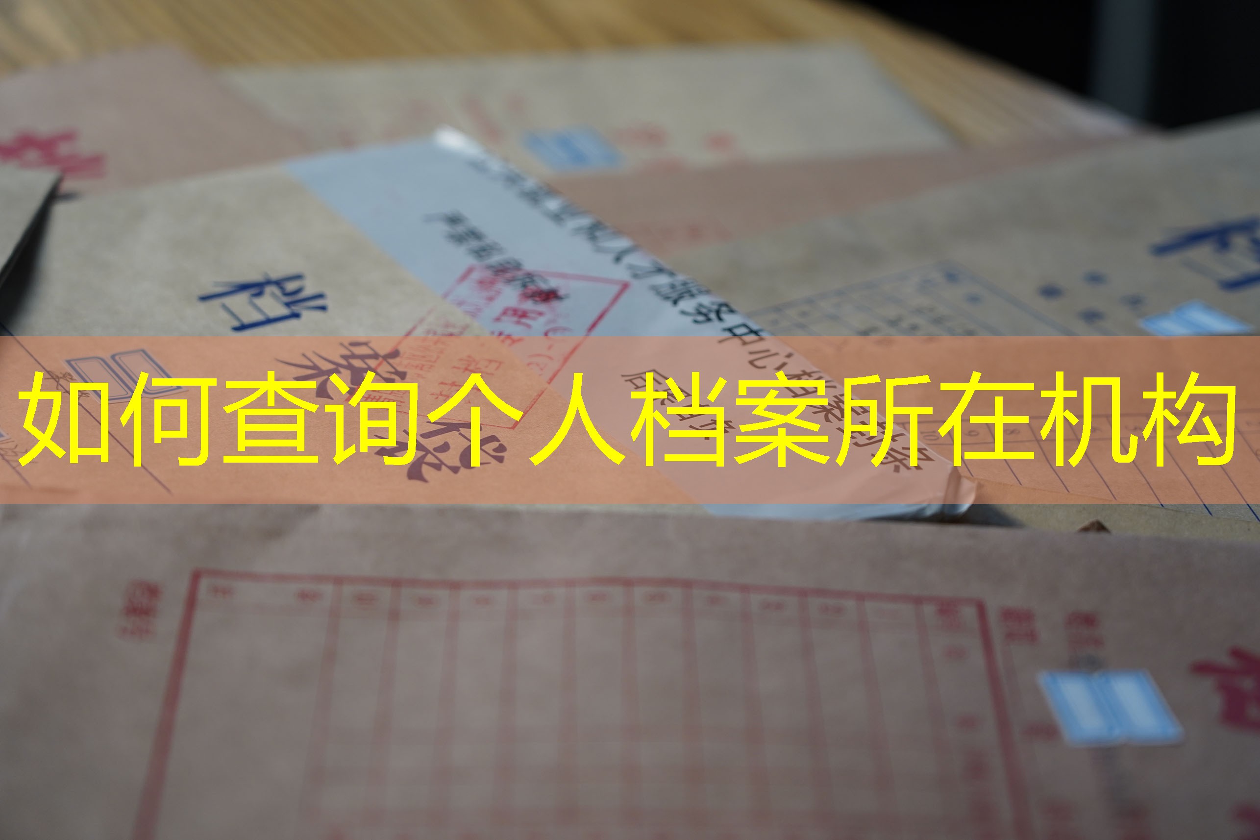 档案查询