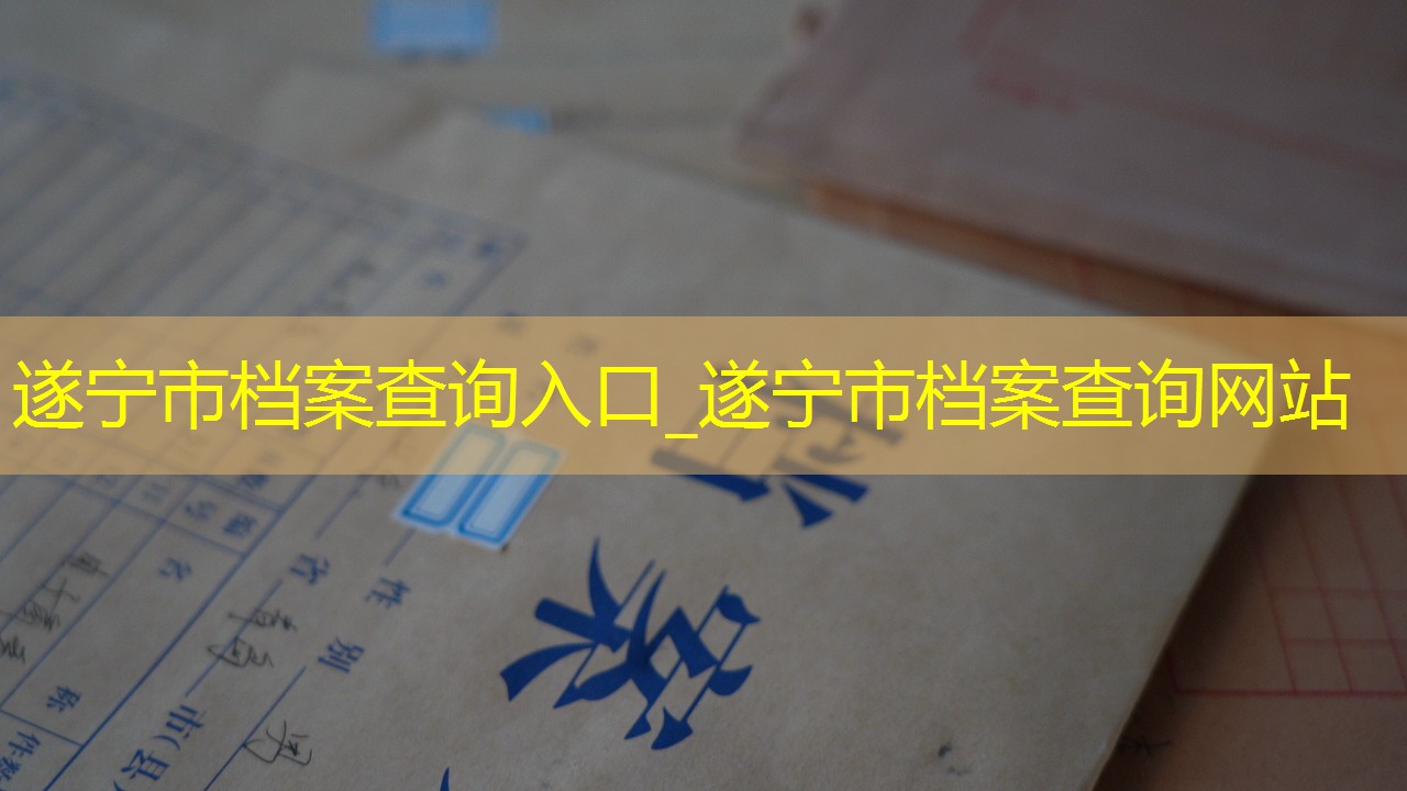 档案查询