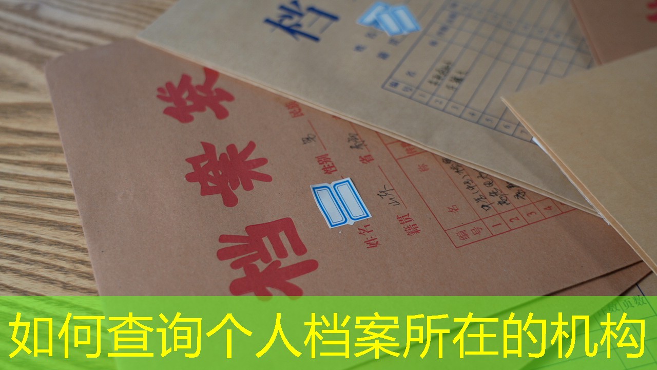 档案查询