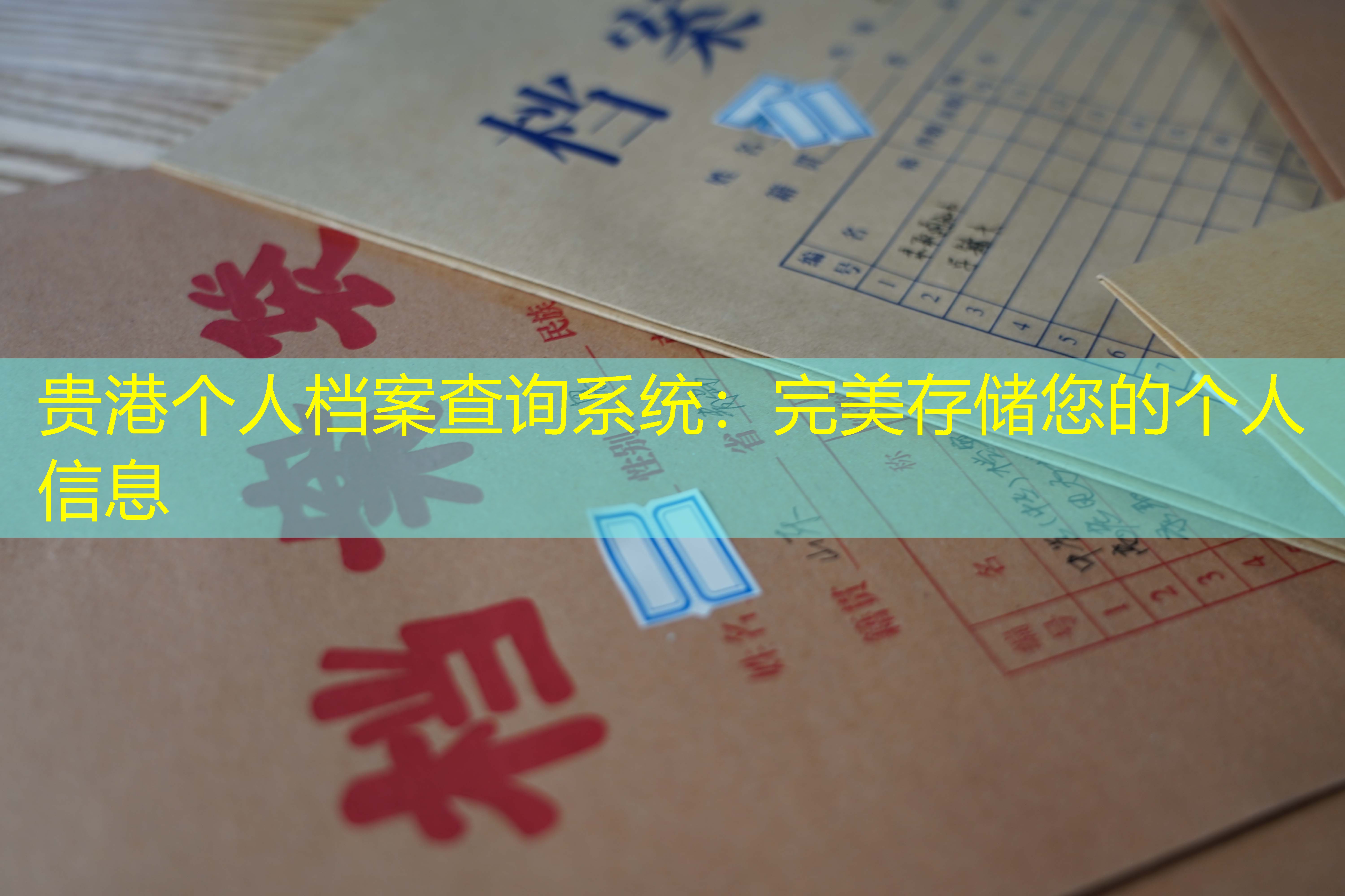 档案查询