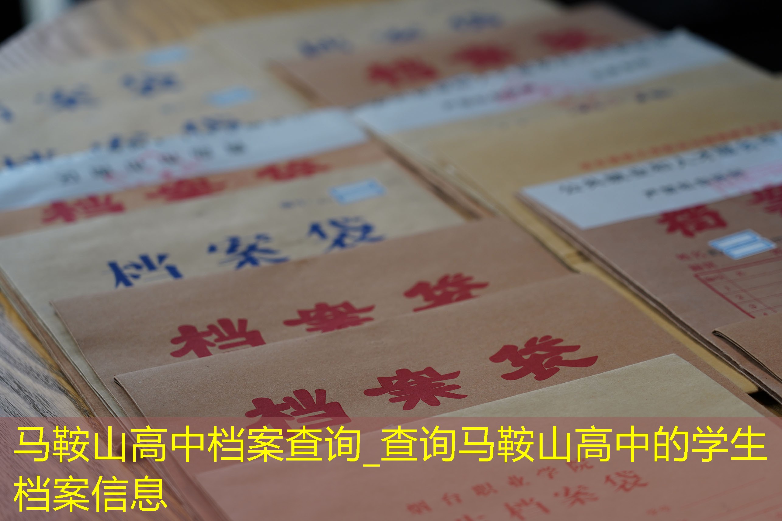 档案查询