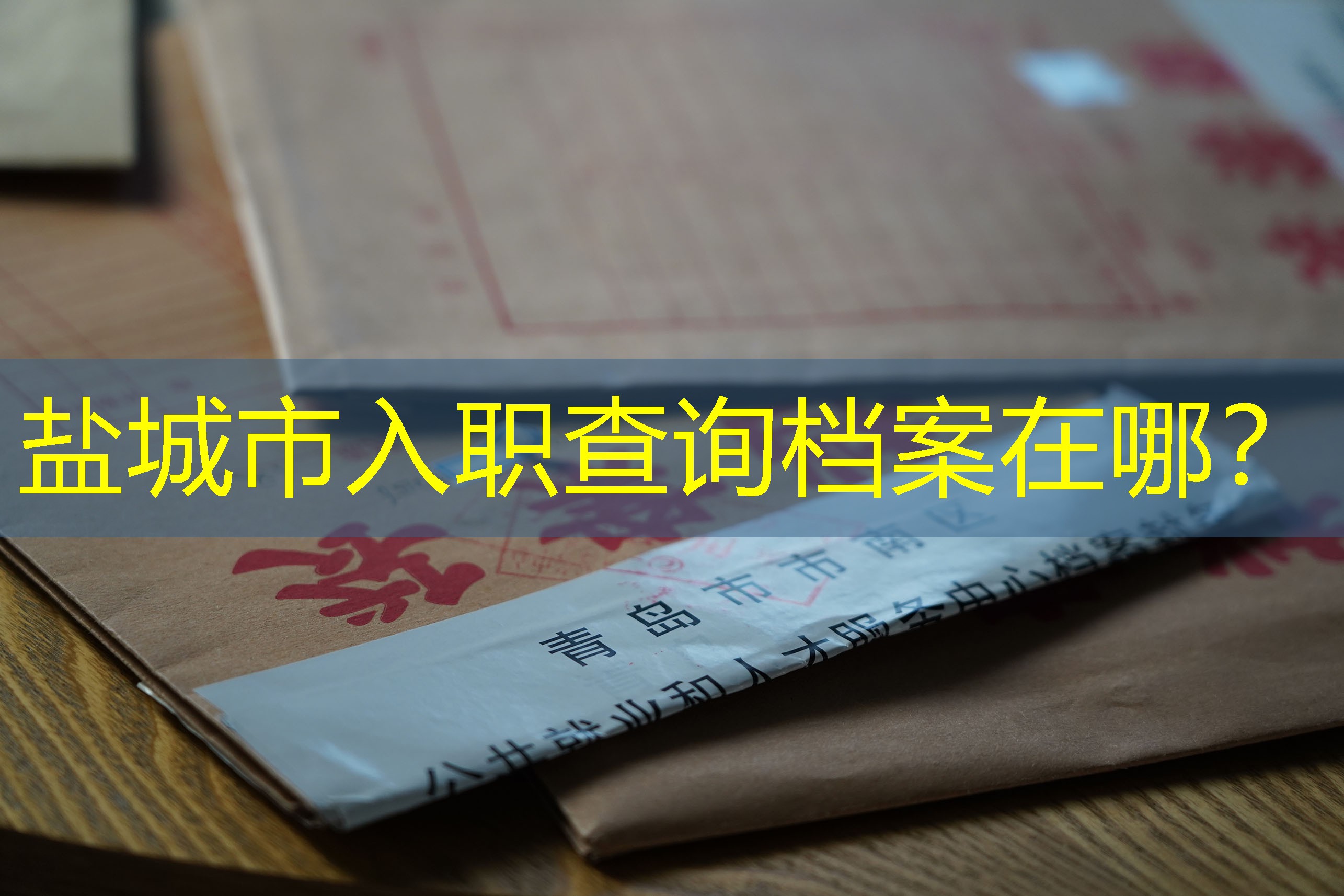 档案查询