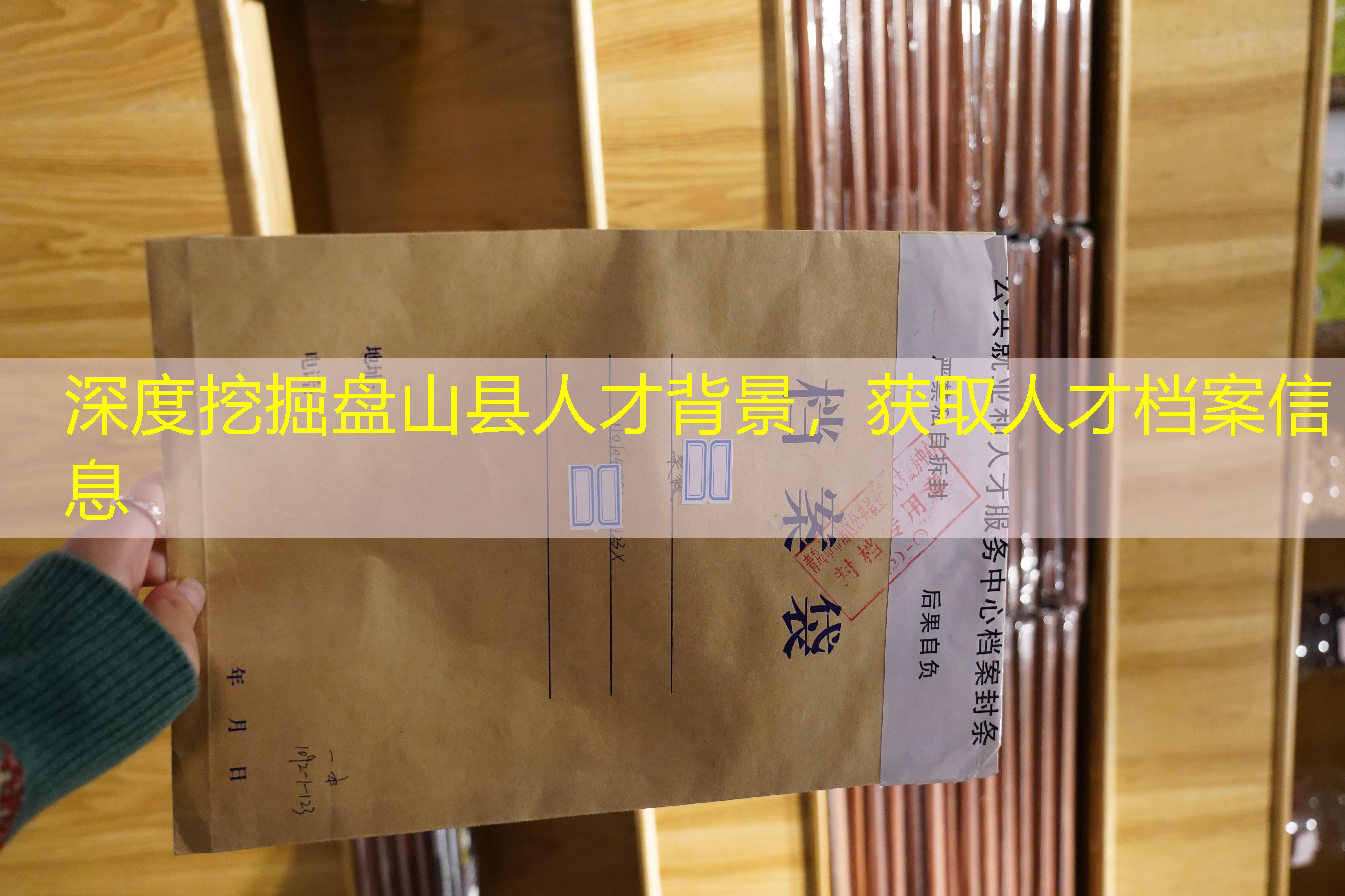 档案查询
