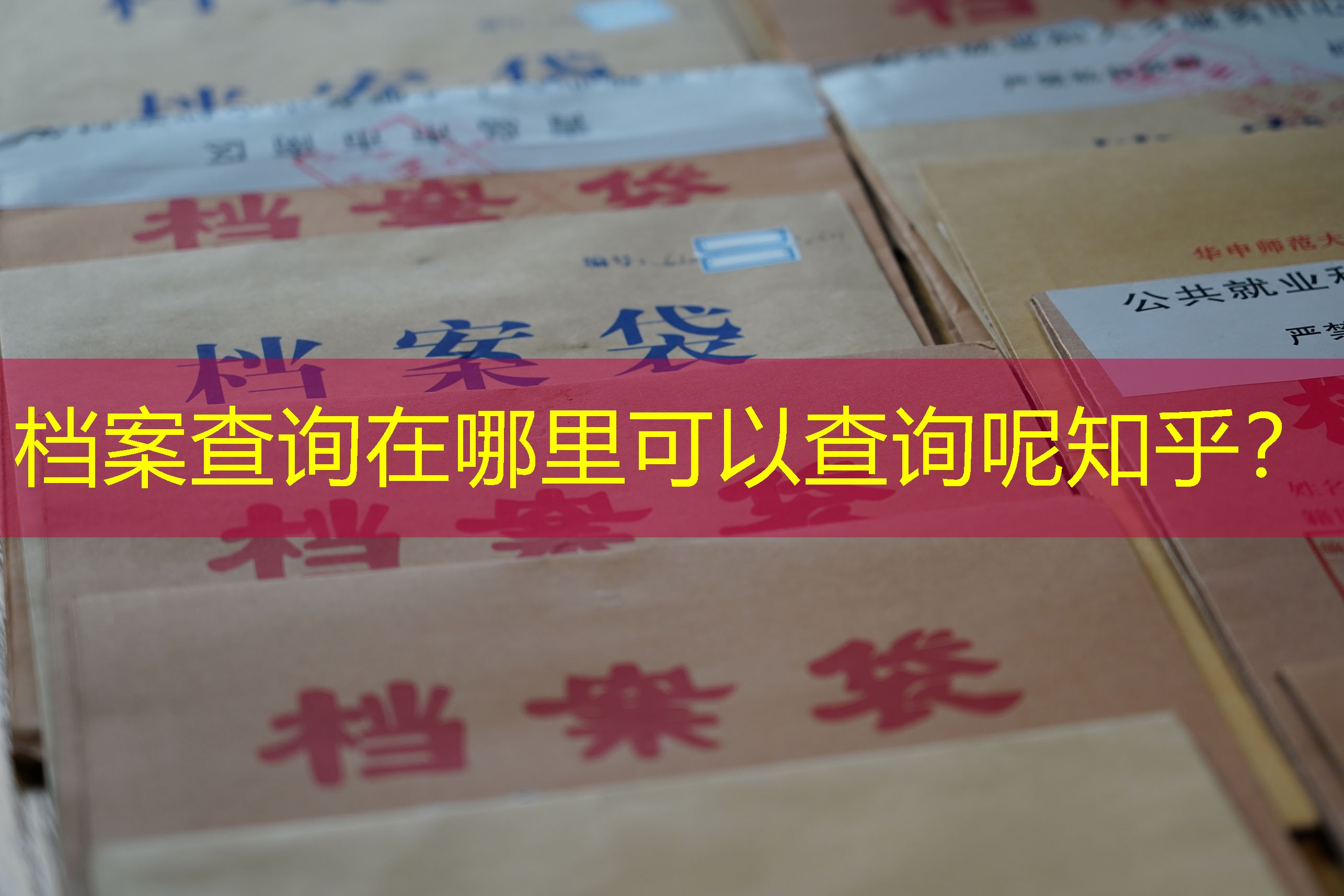 档案查询