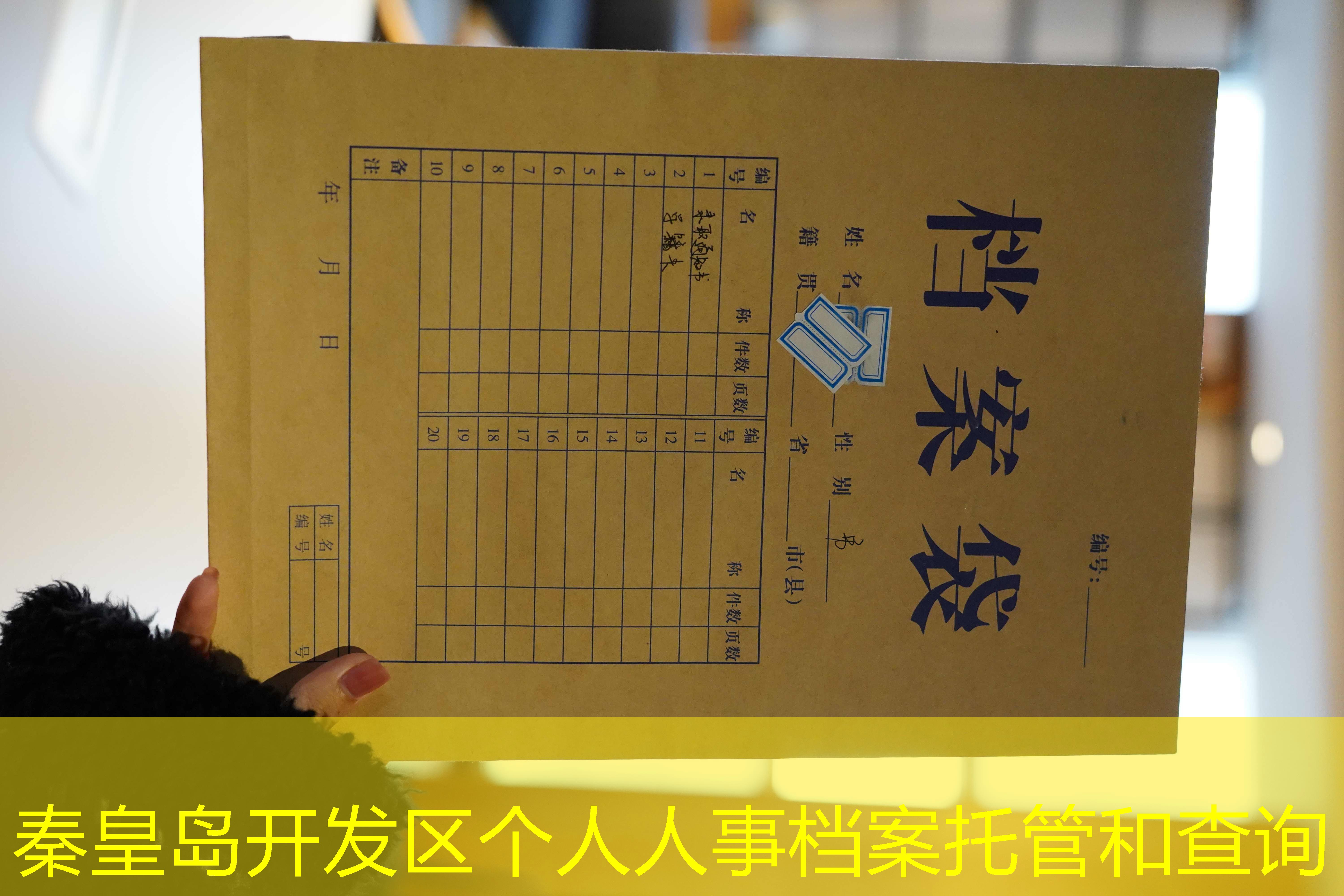 档案查询