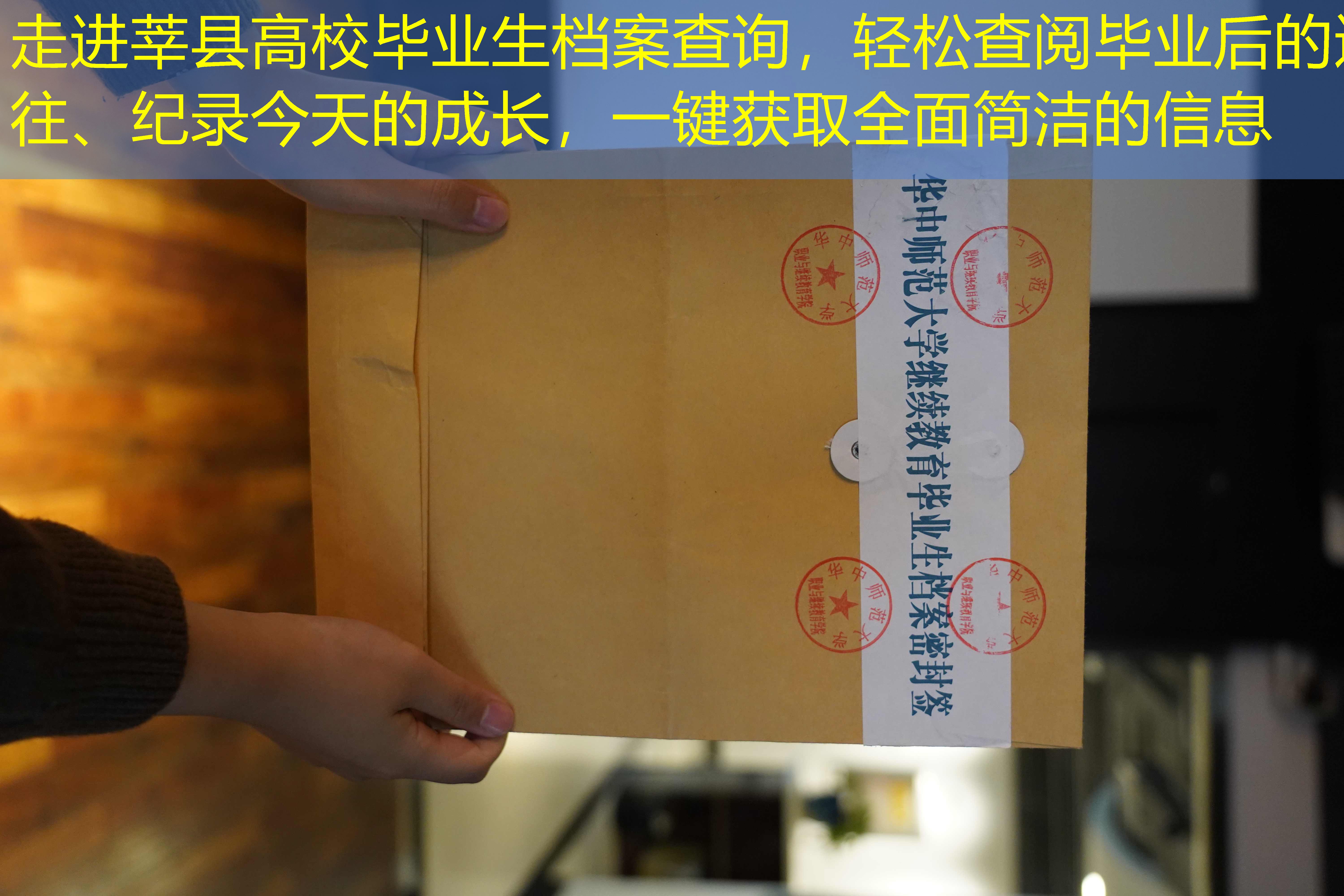 档案查询