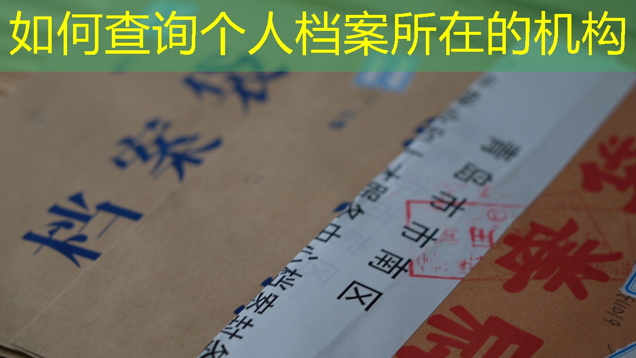 档案查询